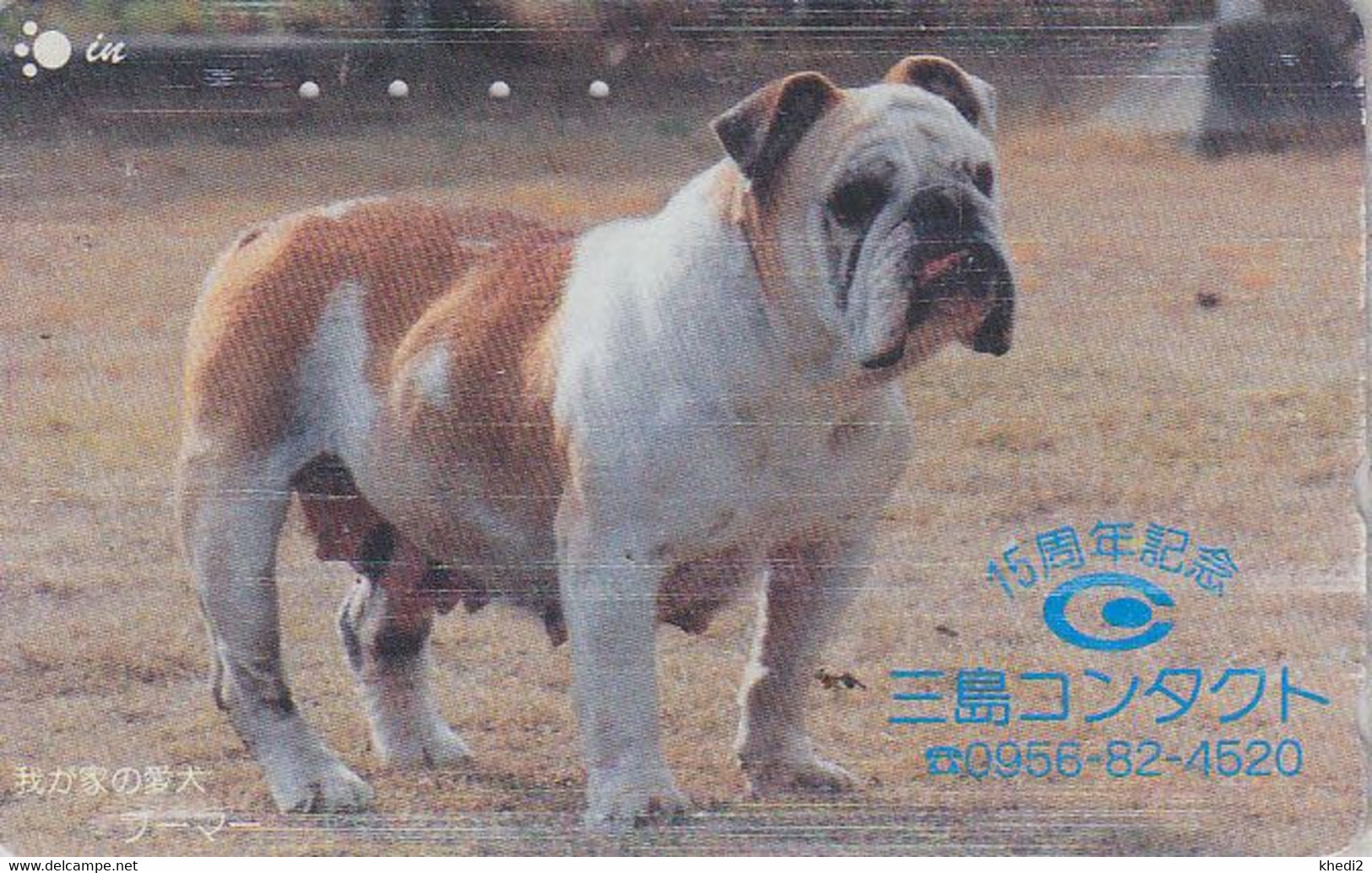 Rare Télécarte JAPON / 110-011- Animal - CHIEN BOULEDOGUE  - BULLDOG DOG JAPAN Phonecard - BULLDOGGE Hund - 1211 - Chiens