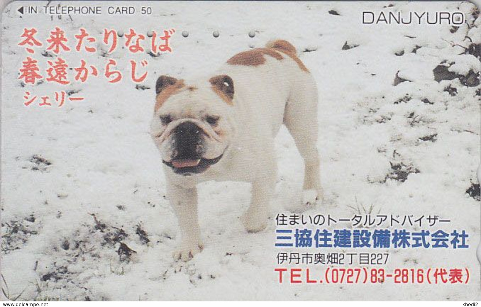 Télécarte JAPON / 110-011 - Animal - CHIEN BOULEDOGUE - BULLDOG DOG JAPAN Phonecard - BULLDOGGE Hund - 1212 - Honden