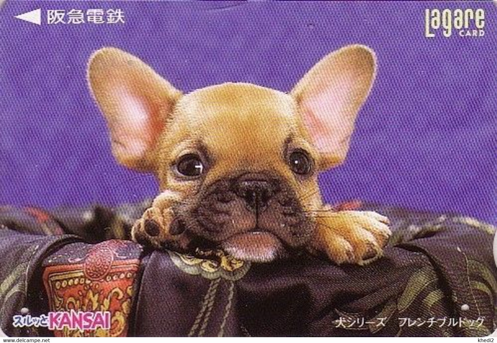 Carte Prépayée JAPON - Animal - CHIEN Bébé BOULEDOGUE - BULLDOG Dog JAPAN Kansai Lagare Card - BULLDOGGE Hund - 1214 - Chiens