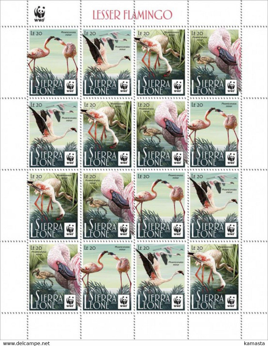 Sierra Leone  2022 WWF Lesser Flamingo. New Currency Reissue. (605f2) OFFICIAL ISSUE - Flamingo's