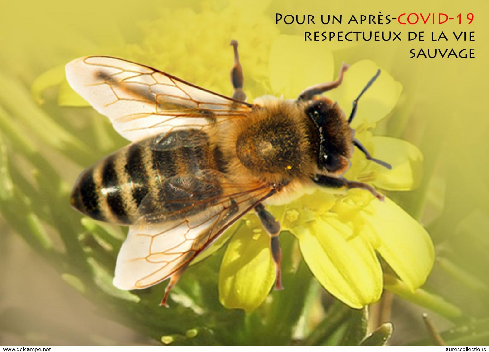 DJIBOUTI 2023 - STATIONERY CARD - BEES BEE ABEILLES ABEILLE INSECTS - PANDEMIC COVID-19 CORONAVIRUS - Abeilles