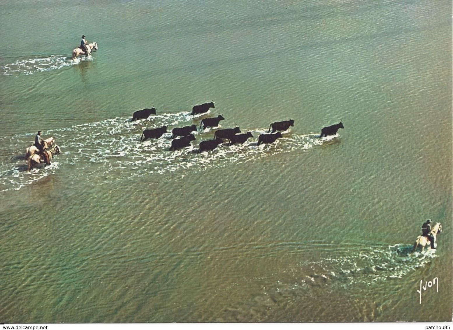 CPM En Camargue Gardians Et Manade De Taureaux Traversant Un étang Photo Aérienne Alain Perceval - Taureaux