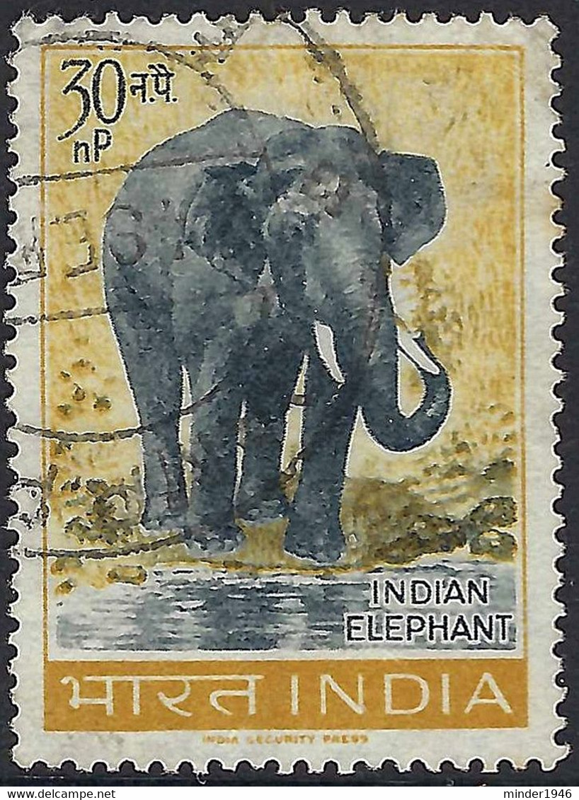 INDIA 1963 QEII 30np Slate & Yellow-Ochre, Wildlife Preservation-India Elephant SG474 FU - Gebraucht