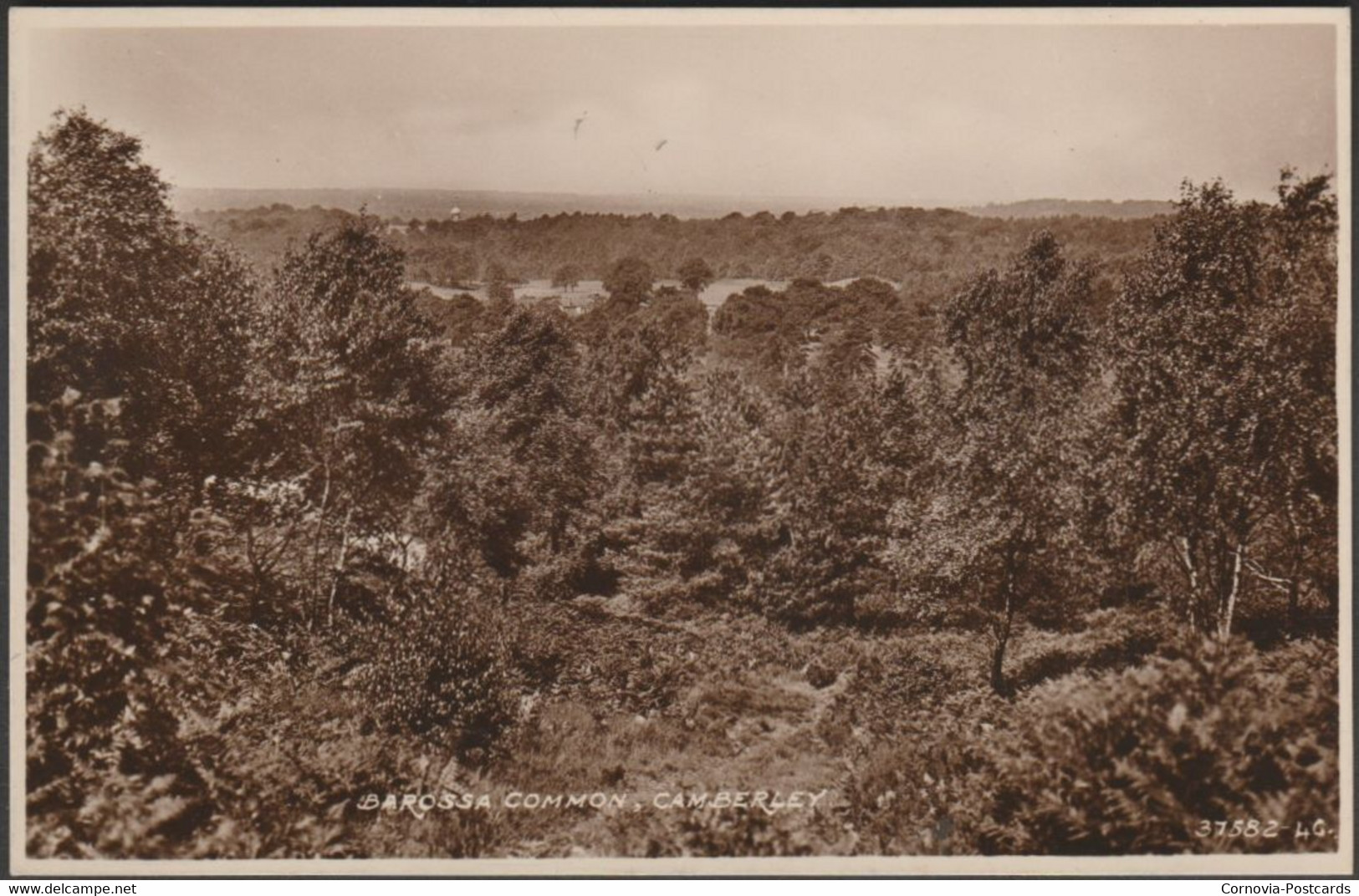 Barossa Common, Camberley, Surrey, C.1940 - RP Postcard - Surrey