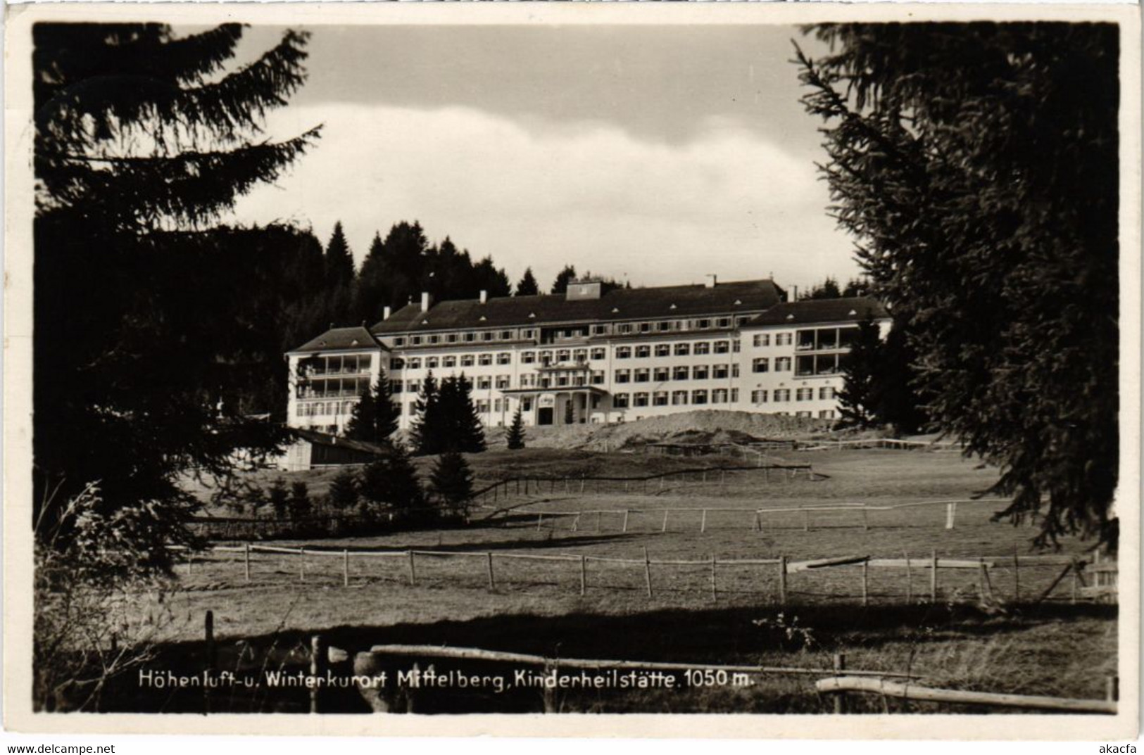 CPA AK MITTELBERG Hohenluft Und Winterkurort Mittelberg GERMANY (1296424) - Mittelberg