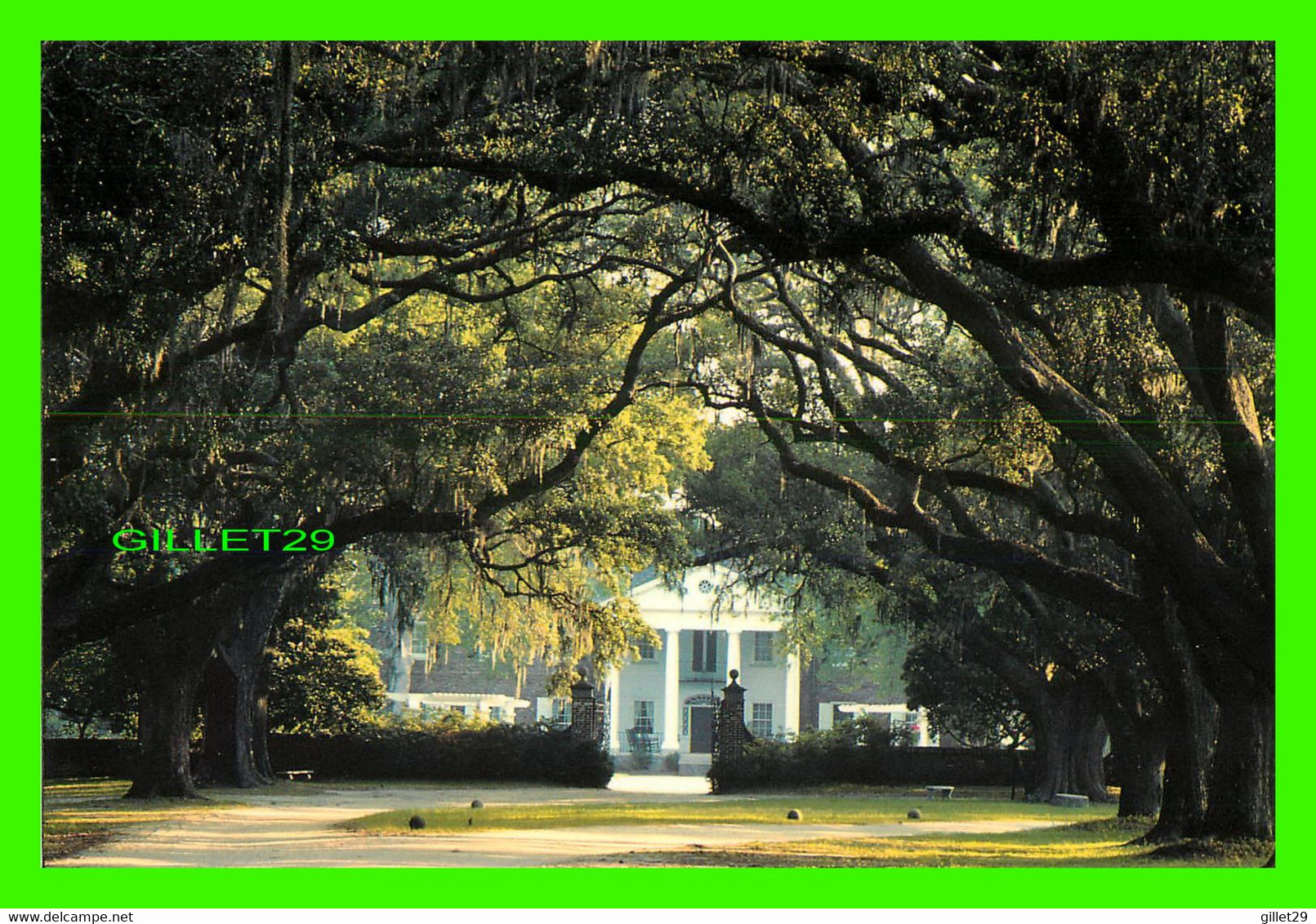 CHARLESTON, SC - BOONE HALL PLANTATION - PHOTO BY BILL R. SCROGGINS - BRANDON ADV. - - Charleston