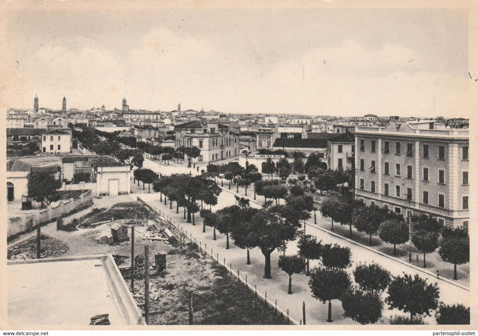 Cartolina - Postcard /  Viaggiata - Sent  /  San Severo - Viale Stazione. ( Gran Formato ) - San Severo