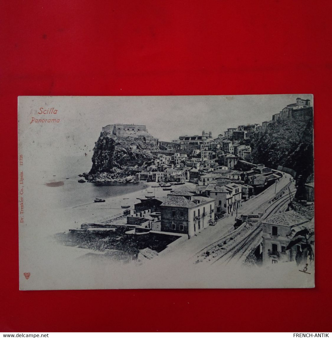 SCILLA PANORAMA - Other & Unclassified