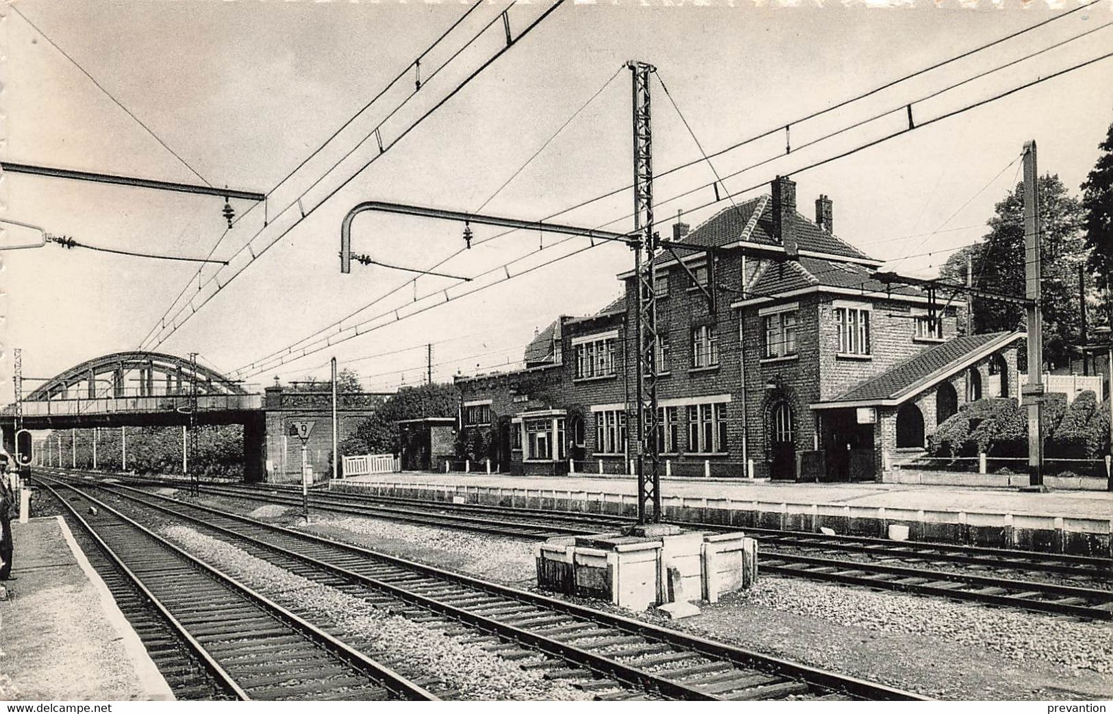 HOVE - Statie - Carte Circulé 1956 Vers Uccle - Hove