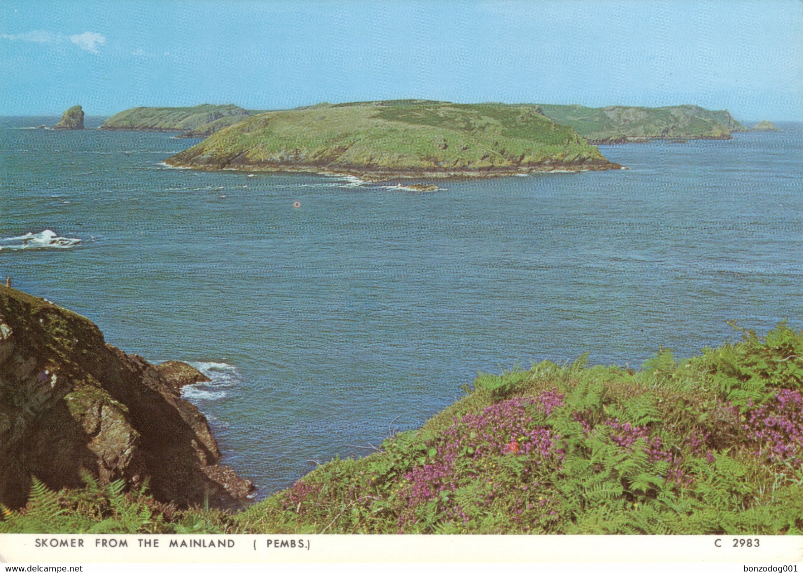 Skomer From The Mainland, Pembrokeshire, Wales. Unposted - Pembrokeshire