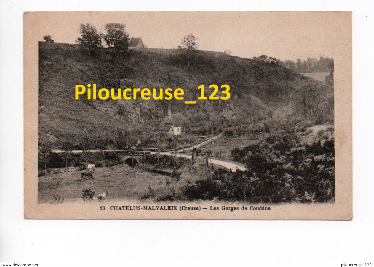 23 Creuse - CHATELUS-MALVALEIX - " Gorges De Coudane " - RARE - Chatelus Malvaleix