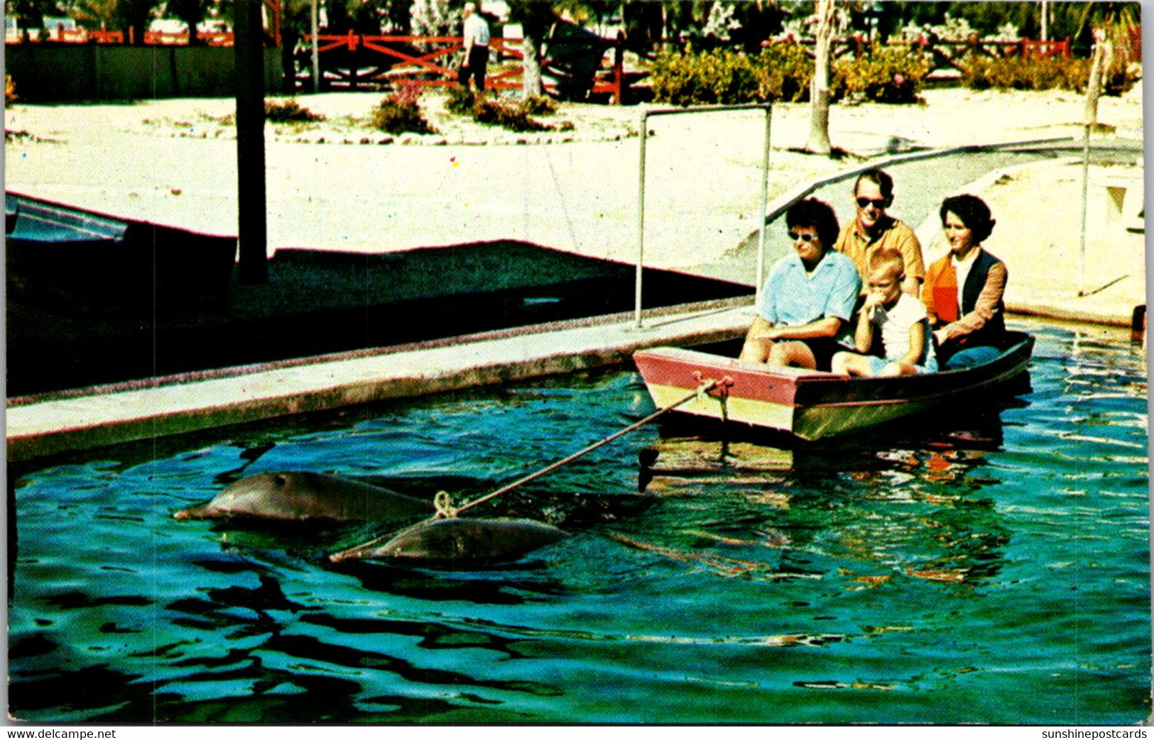 Florida Islamorada Theater Of The Sea Porpoise Powered Boat - Key West & The Keys