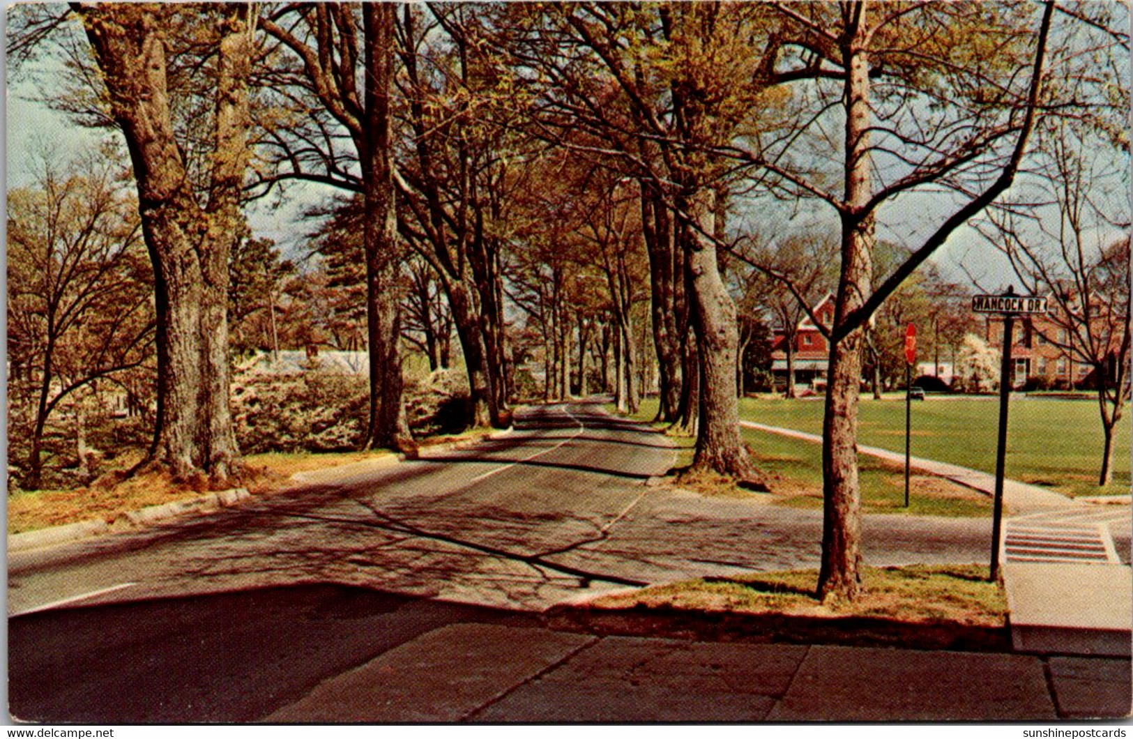 Georgia Early Spring At Fort McPherson Near Atlanta - Atlanta