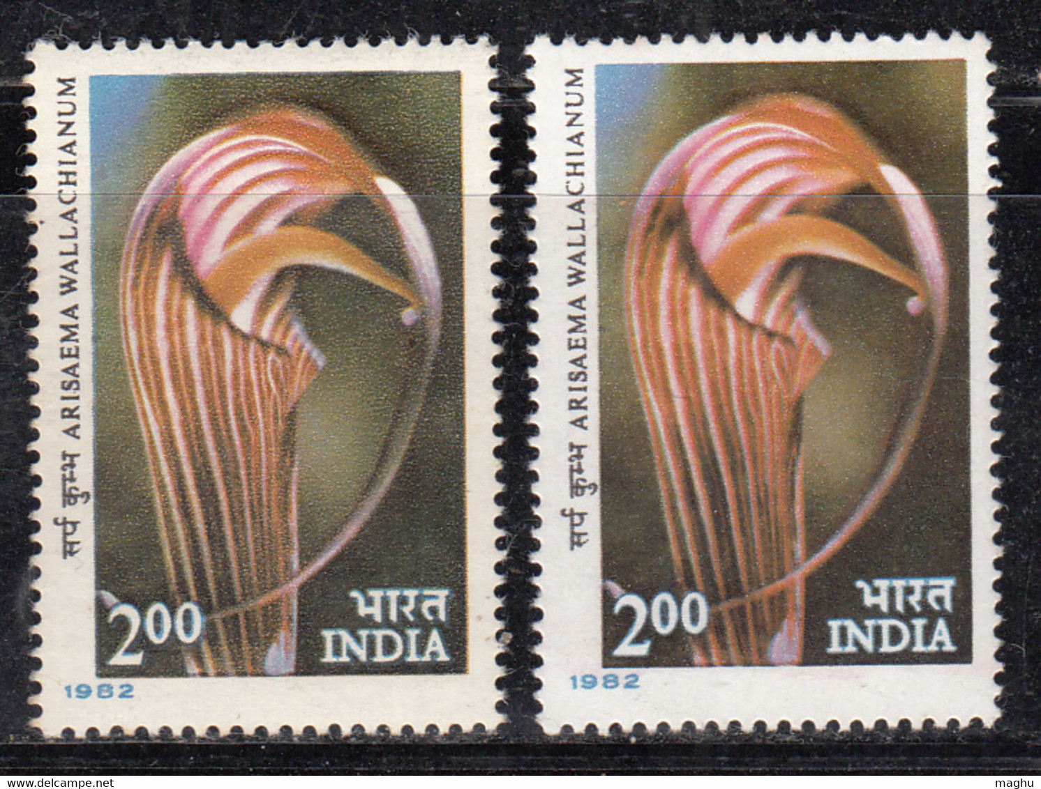 EFO, Colour Variety, 2.00 Himalayan Flowers Series, Flower, Plant, India MNH 1982 - Errors, Freaks & Oddities (EFO)