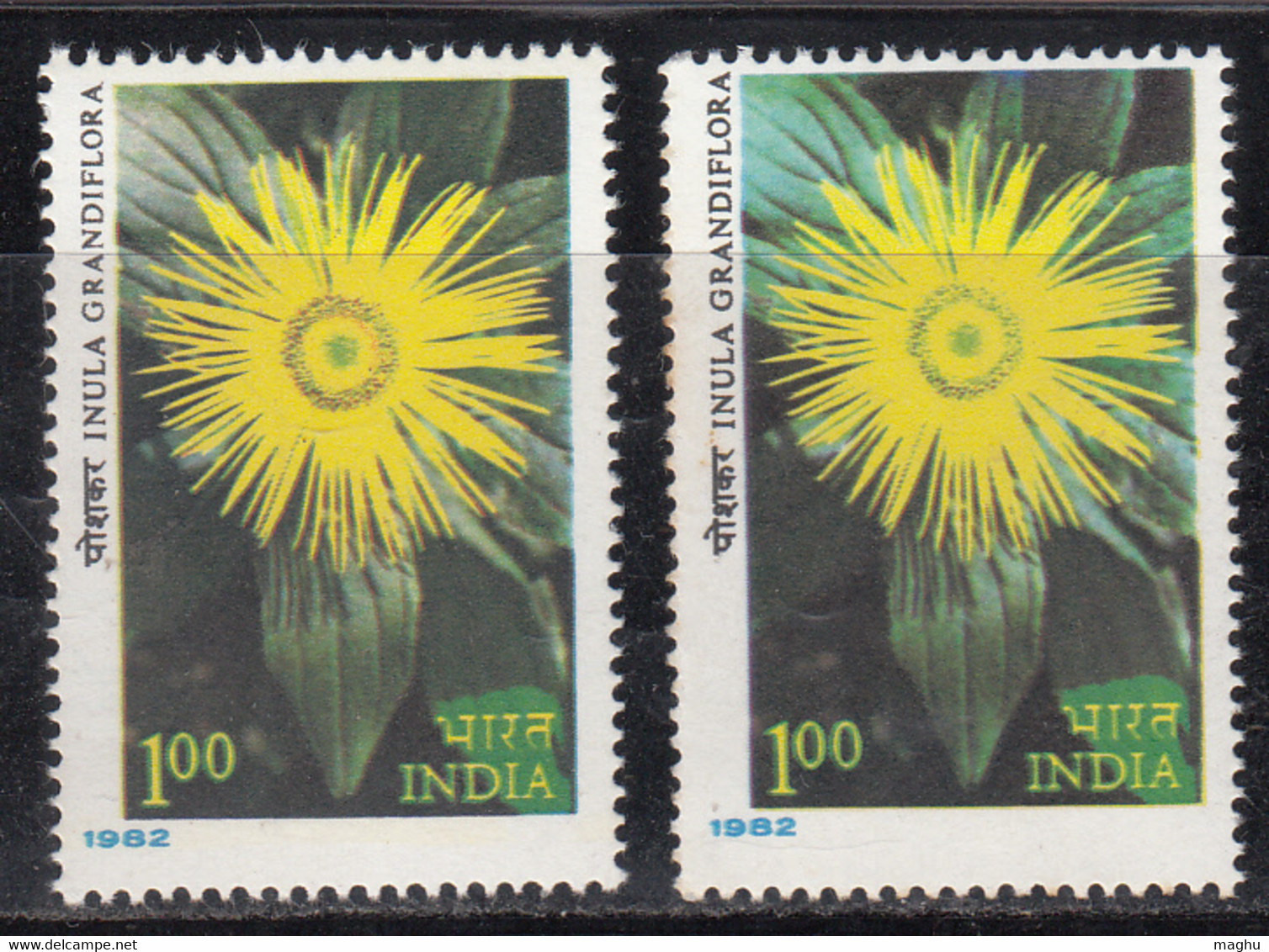 EFO, Colour Variety, 1.00 Himalayan Flowers Series, Flower, Plant, India MNH 1982 - Variedades Y Curiosidades