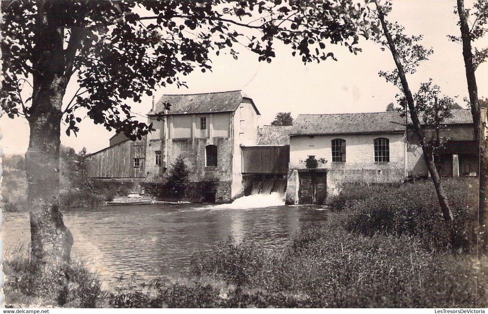 FRANCE - 02 - ORIGNY En Thiérache - La Chute D'eau Du Haut De Vin - Carte Postale Ancienne - Sonstige & Ohne Zuordnung