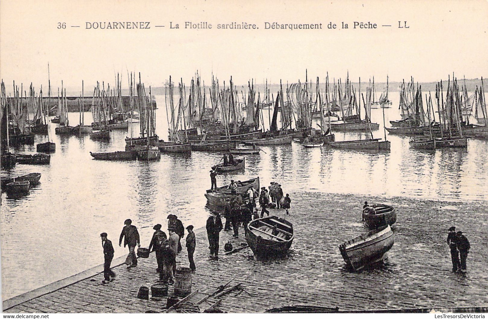 FRANCE - 29 - DOUARNENEZ - La Flotille Sardinière - Débarquement De La Pêche - LL - Carte Postale Ancienne - Douarnenez