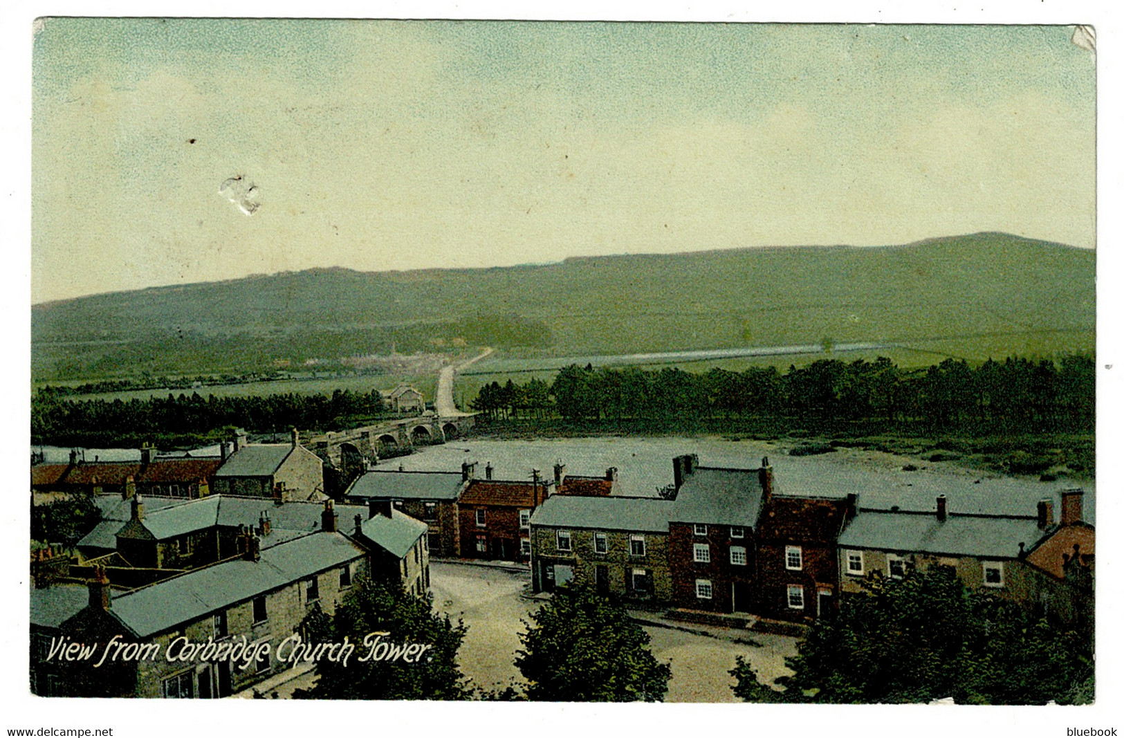 Ref 1598 - 1907 Postcard - View From Corbridge Church Tower - Northumberland - Altri & Non Classificati