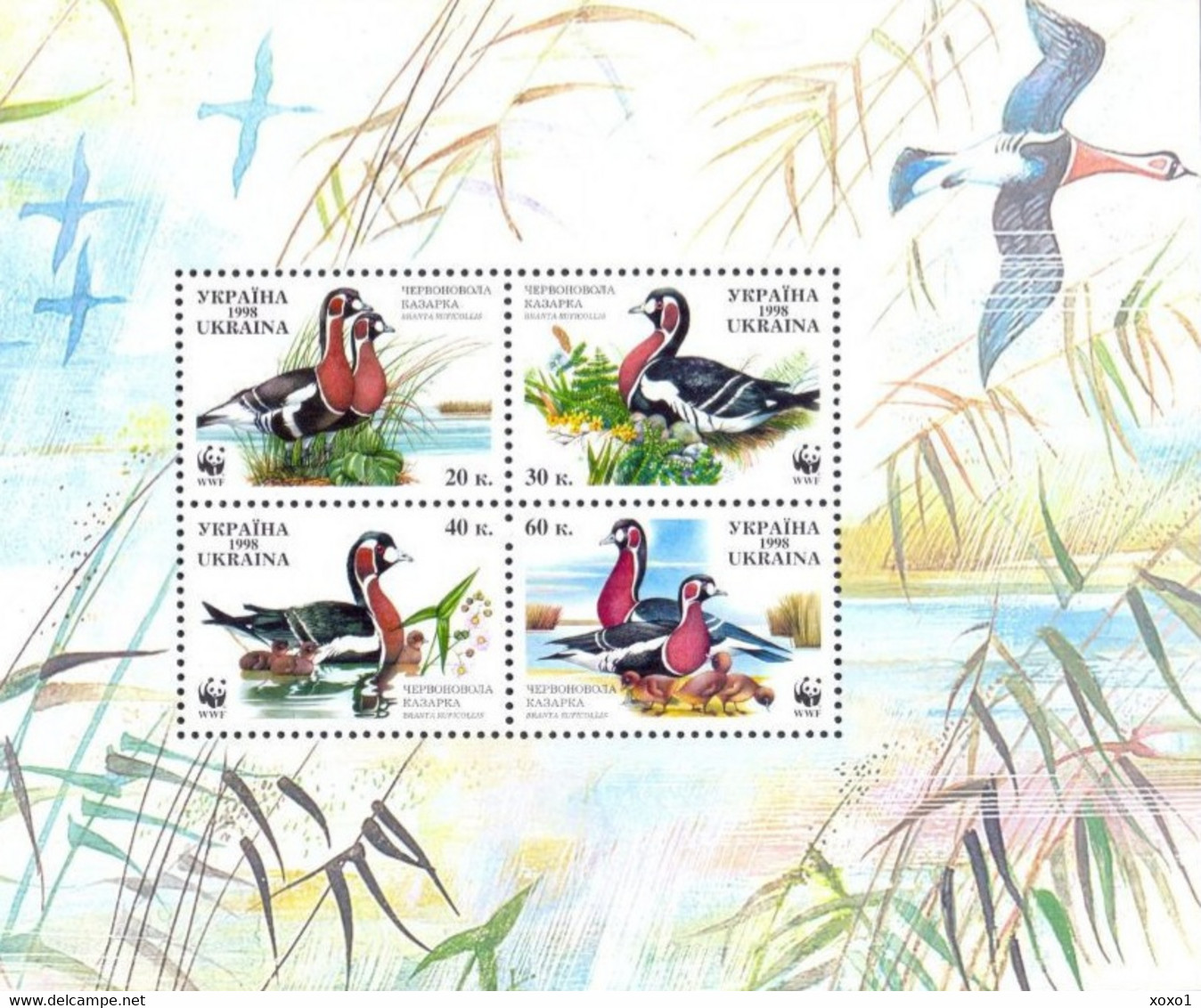 Ukraine 1998 MiNr. 282c - 285c  Red-breasted Goose Birds WWF 4v  MNH** 3.50 € - Gänsevögel