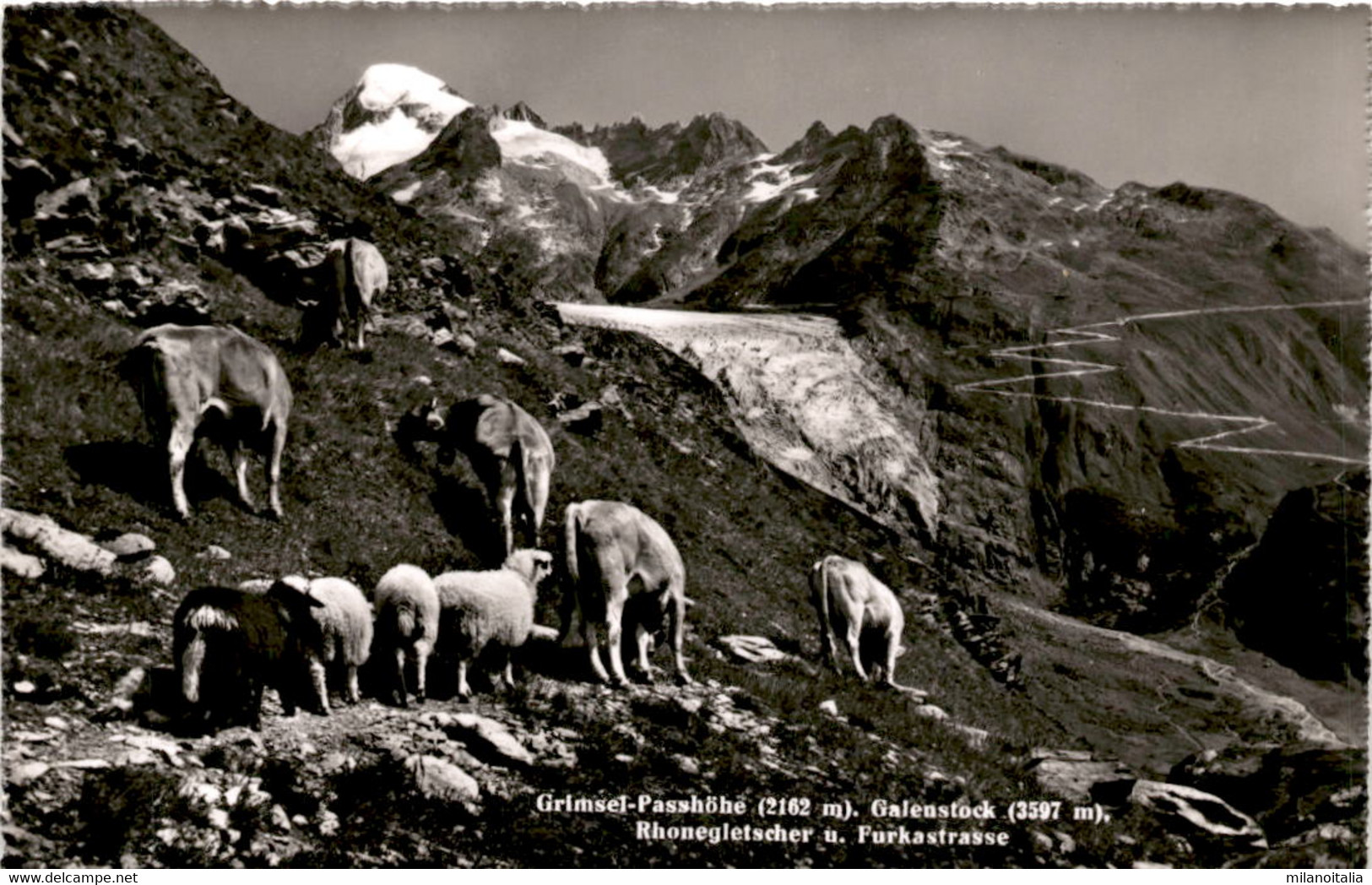 Grimsel-Passhöhe - Galenstock, Rhonegletscher U. Furkastrasse (07527) - Lens