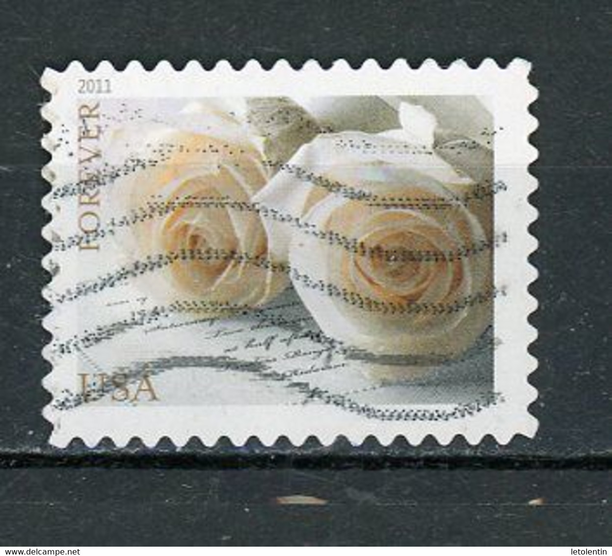 AFRIQUE DU SUD : ROSE - N° Yvert -- Obli. - Used Stamps