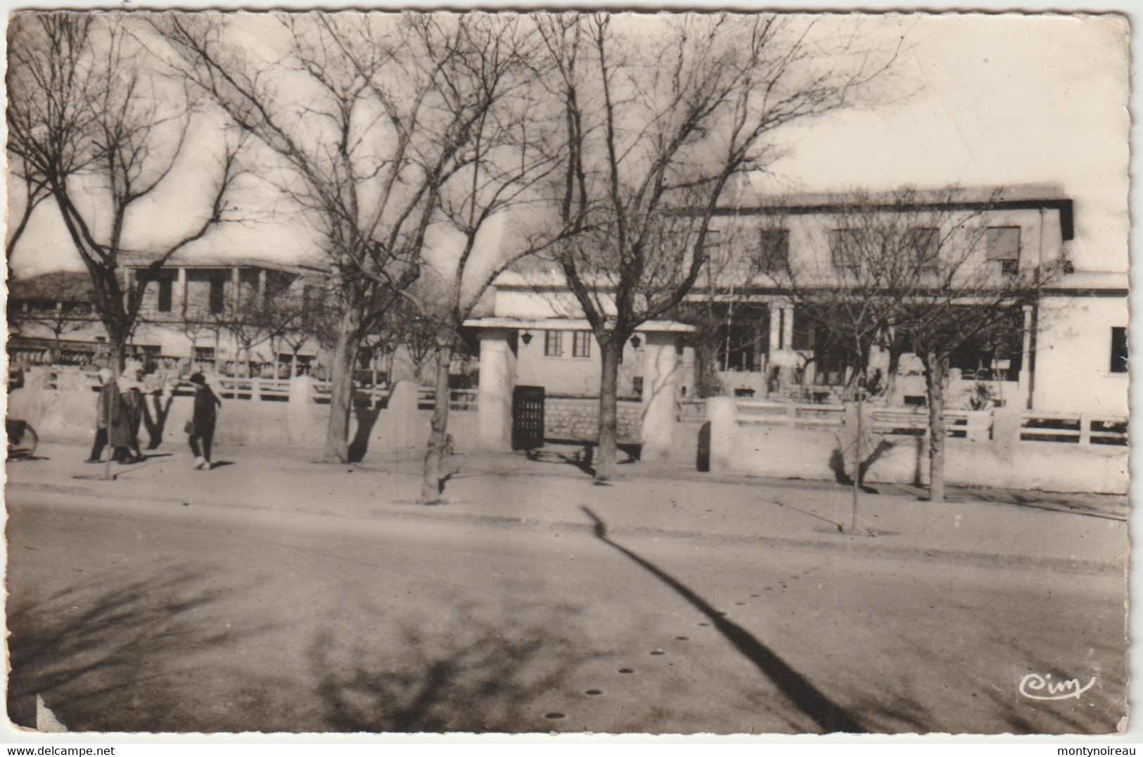 Algérie :  SETIF :  Quartier   Central - Sétif