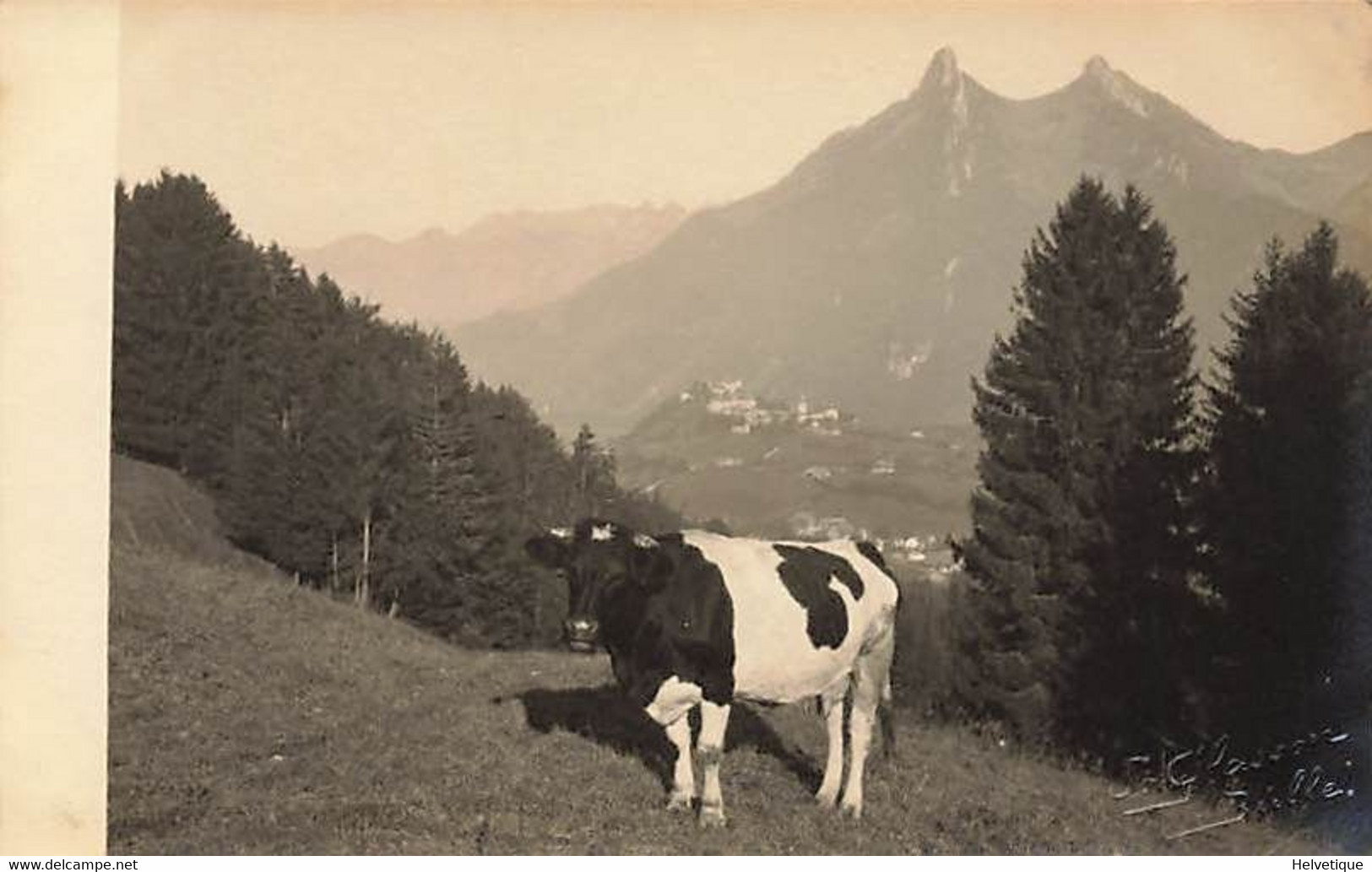 Au Mont-Currat Sur Gruyères Vache Fribourgeoise Dent De Broc Photo Glasson Bulle - Broc