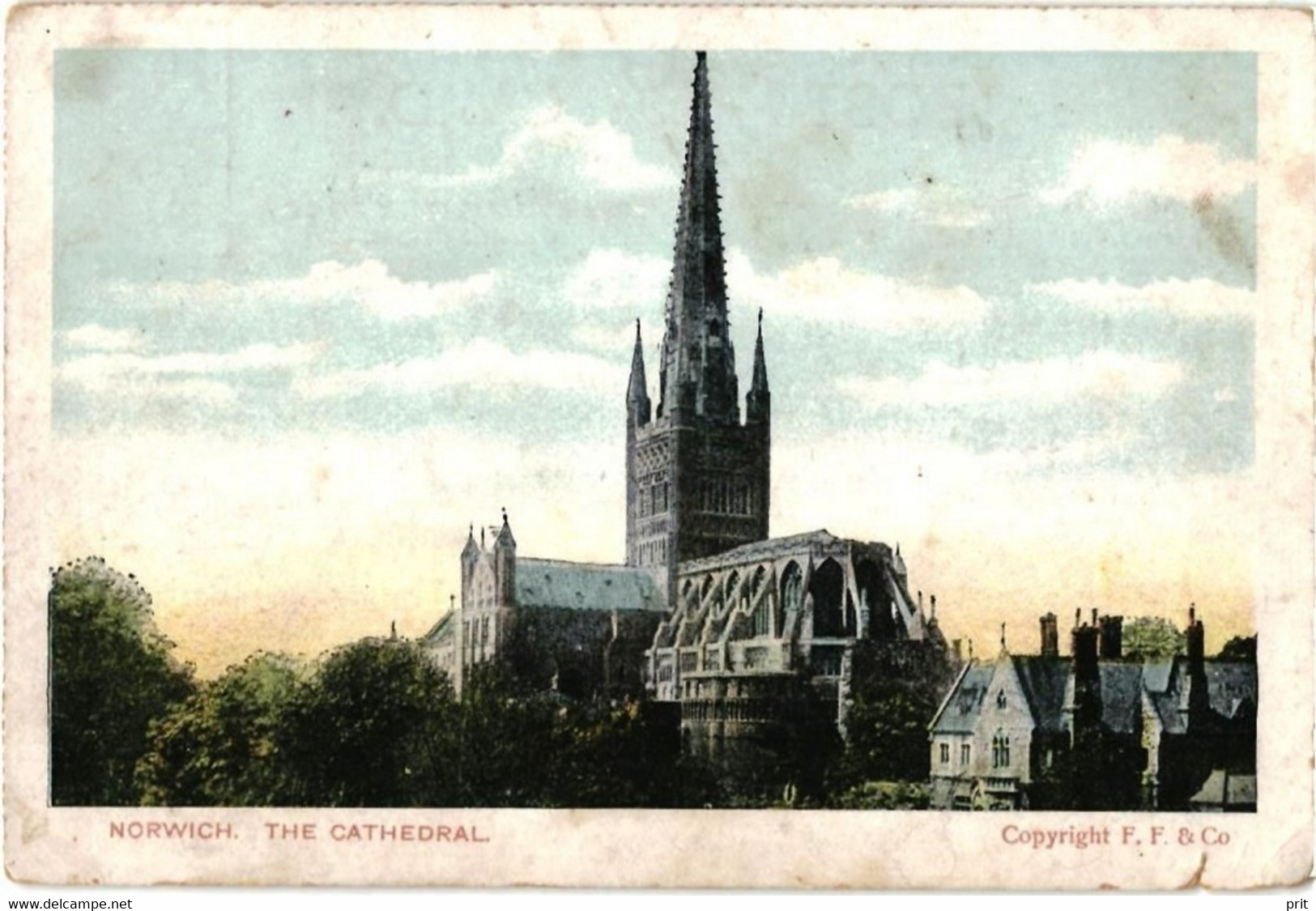 Norwich The Cathedral 1900s Postcard. Published F. Frankel & Co, London - Norwich