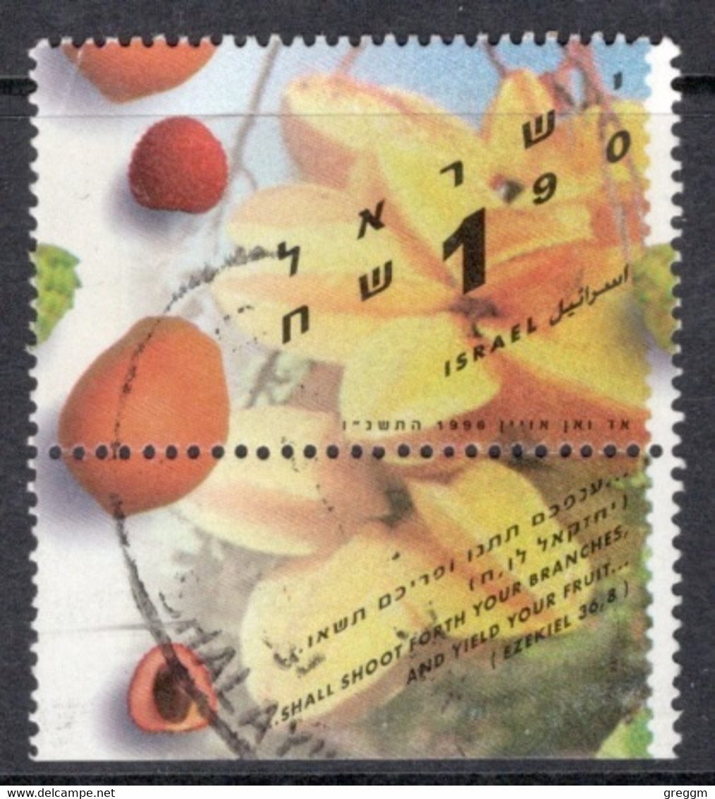 Israel 1996 Single Stamp Celebrating Fruit Production In Fine Used With Tab - Oblitérés (avec Tabs)