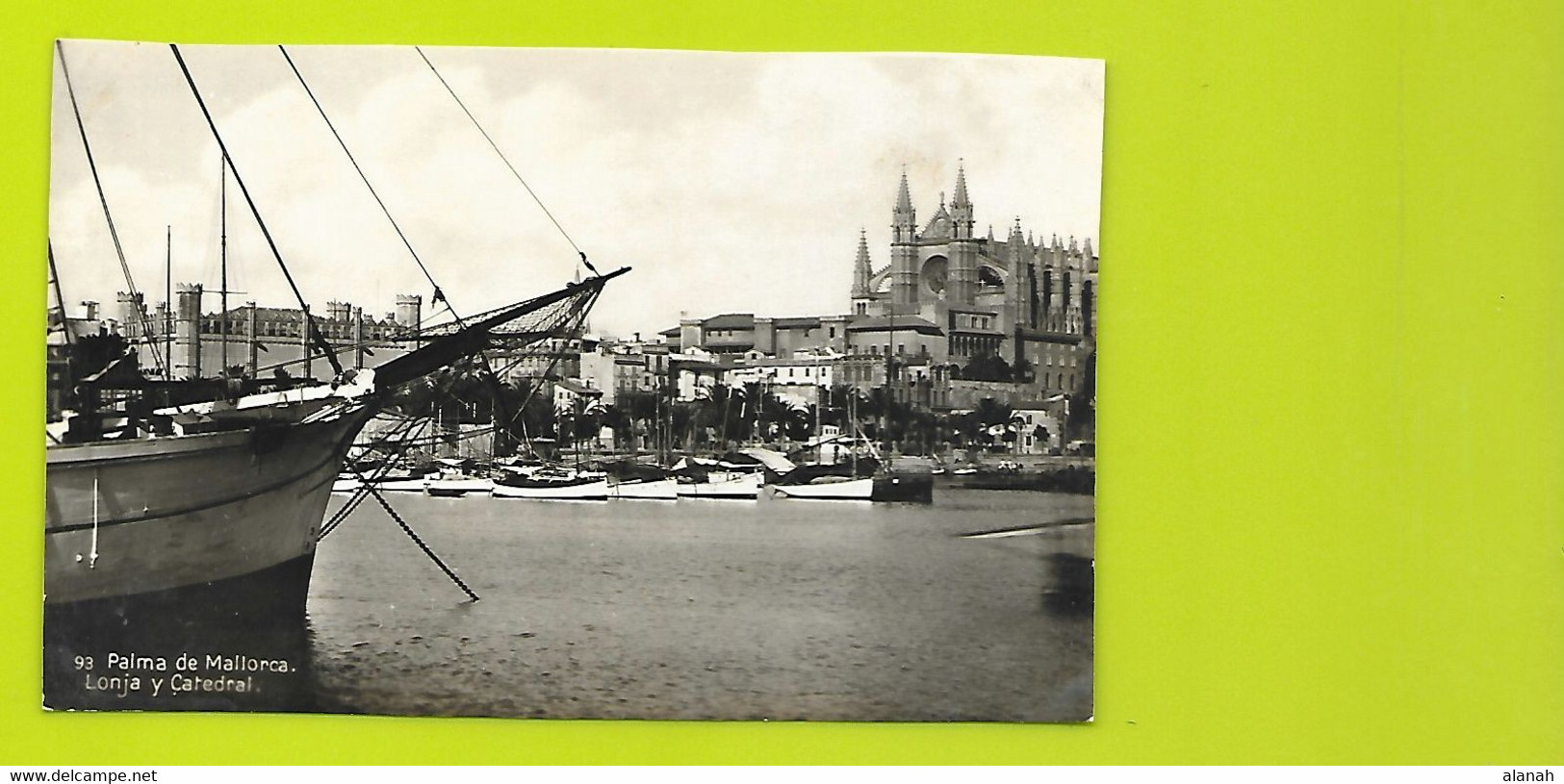 PALMA De MALLORCA Carte Photo Lonja Y Catedral () Espagne - Palma De Mallorca