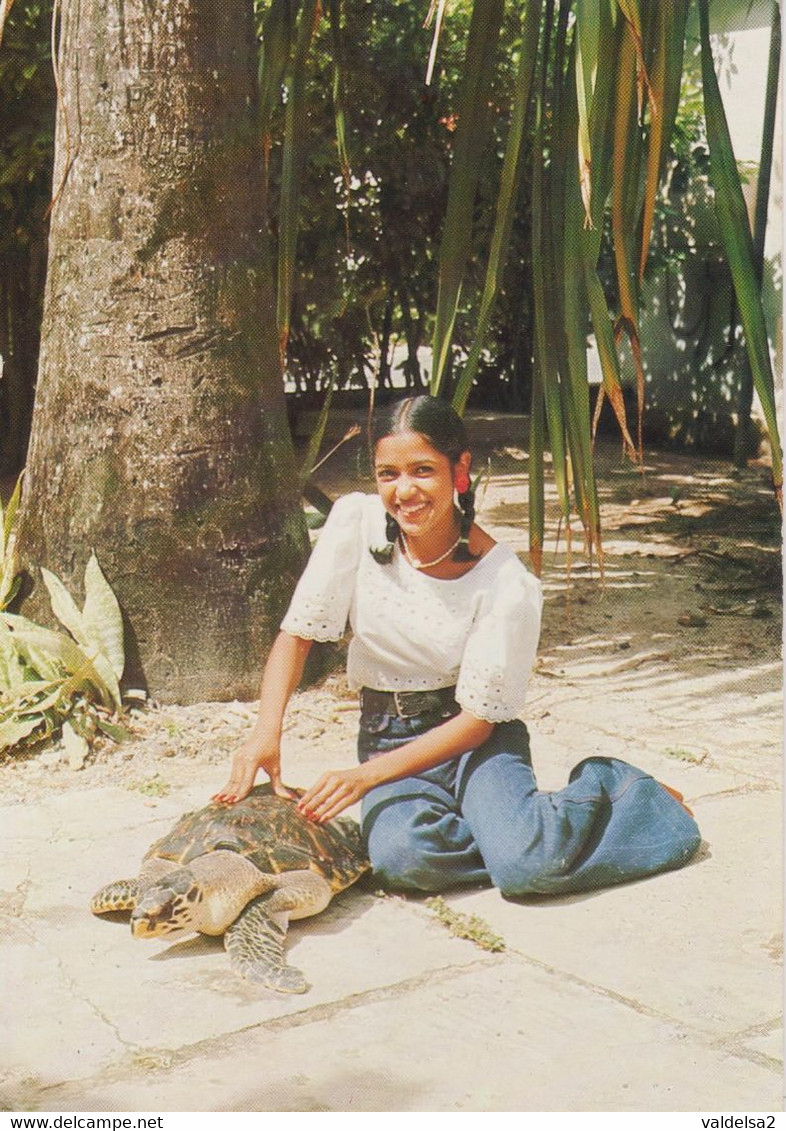 GUADELOUPE - TARTARUGA / TESTUGGINE / TORTUGA / TURTLE / TORTUE - 1980 - Turtles