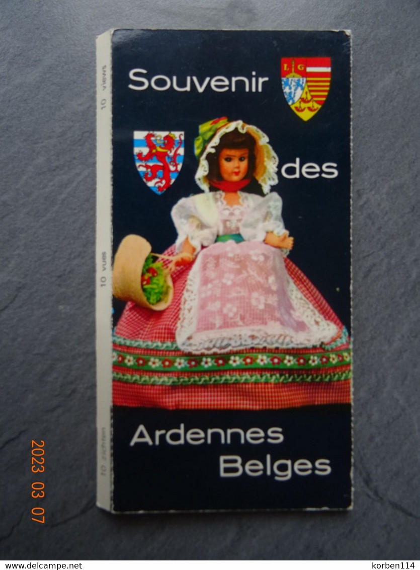 SOUVENIR DES ARDENNES BELGES  10   CP  / PK    15  X   9  CM - Sammlungen & Sammellose