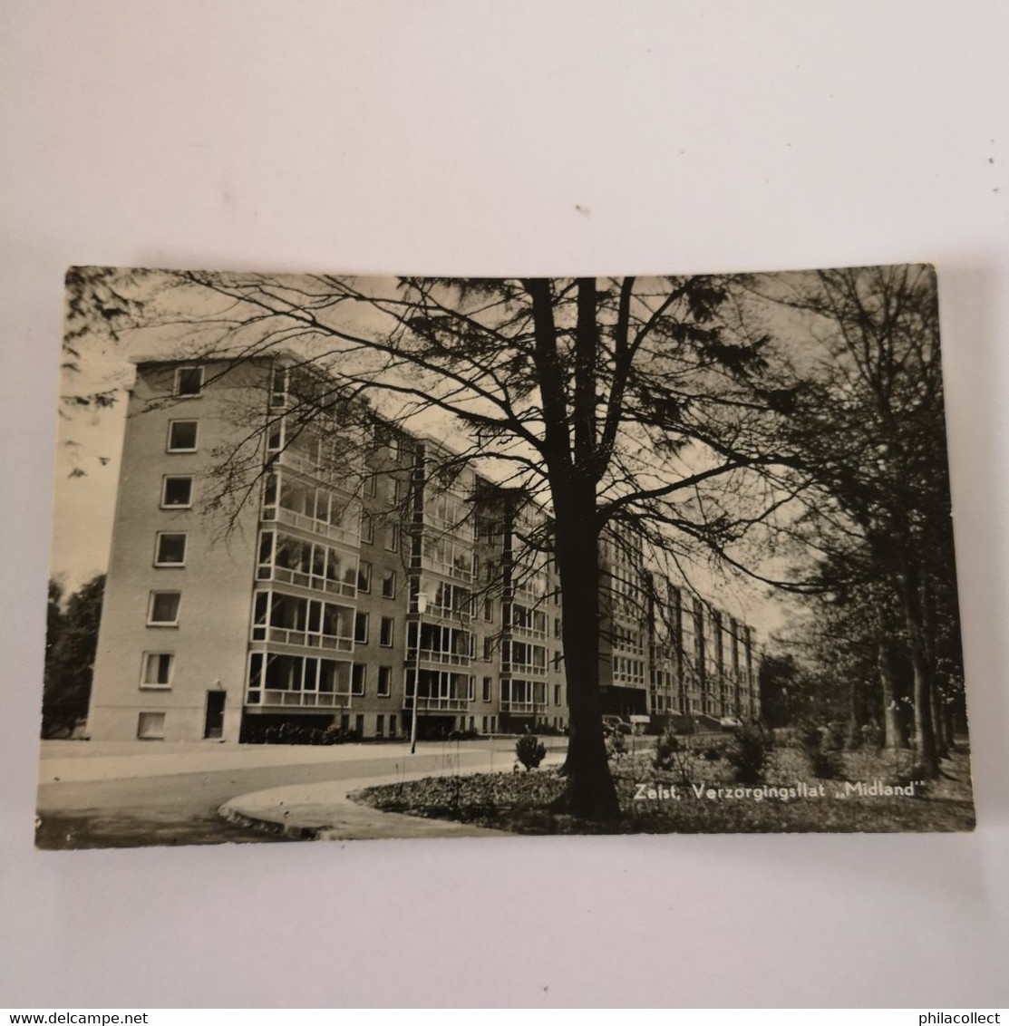 Leeuwarden // Essenstraat 1964 - Leeuwarden