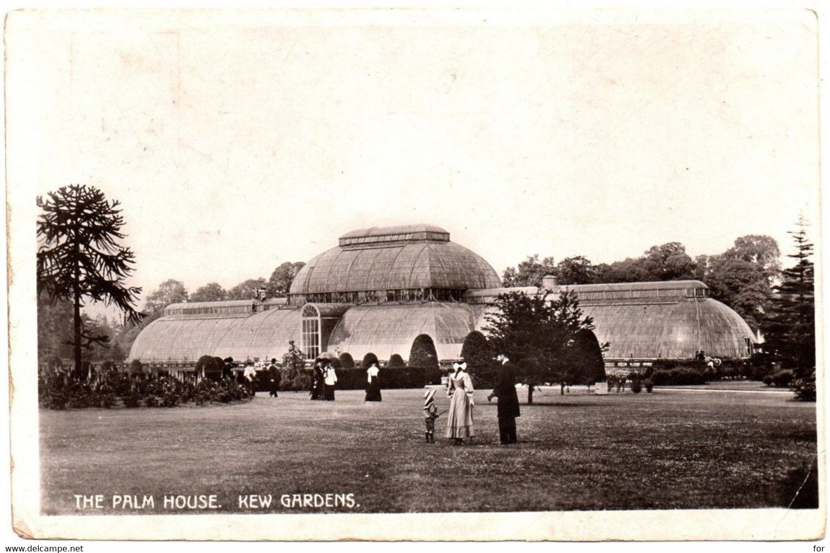 Angleterre : London : Kew Gardens - The Palm House : Animée : 1908 - London Suburbs