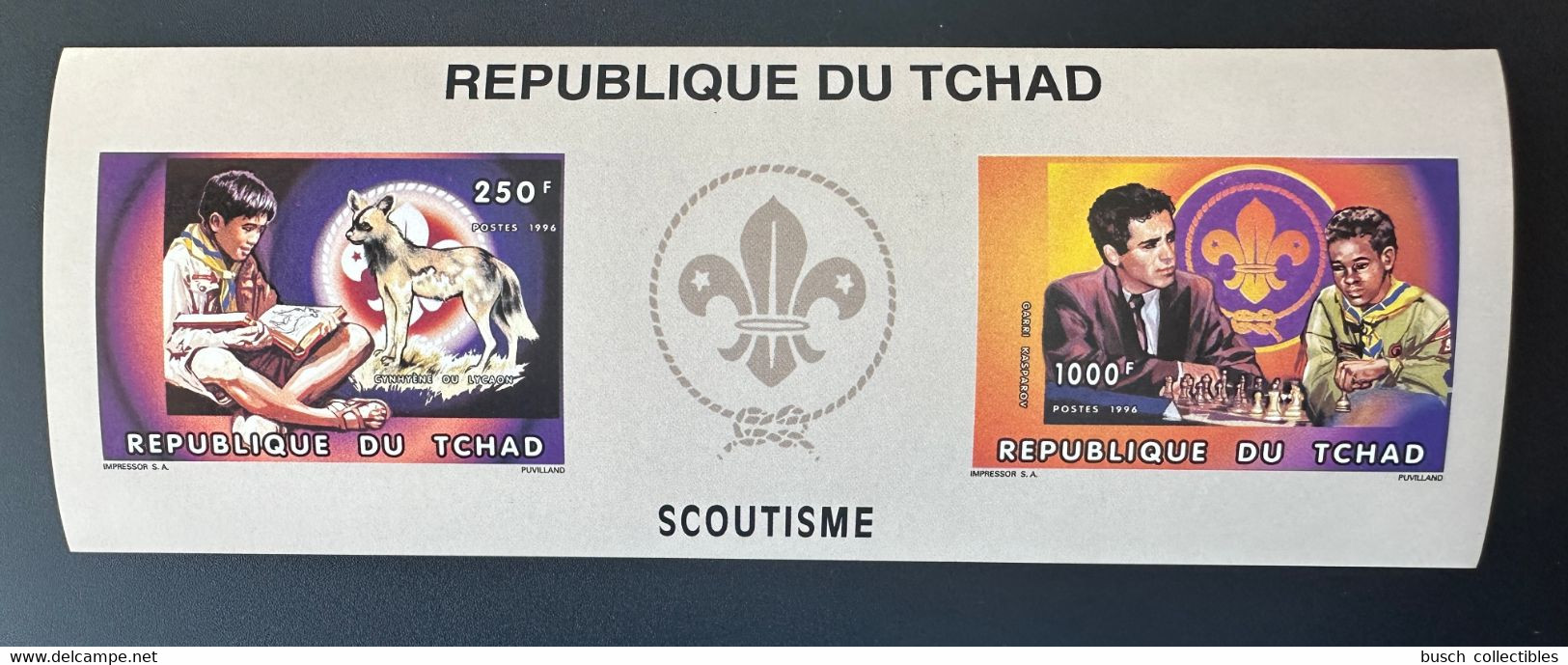 Tchad Chad Tschad 1996 Mi. Bl. 258 B IMPERF ND Scoutisme Scouts Pfadfinder Chess Echecs Schach Kasparov Fauna - Tchad (1960-...)