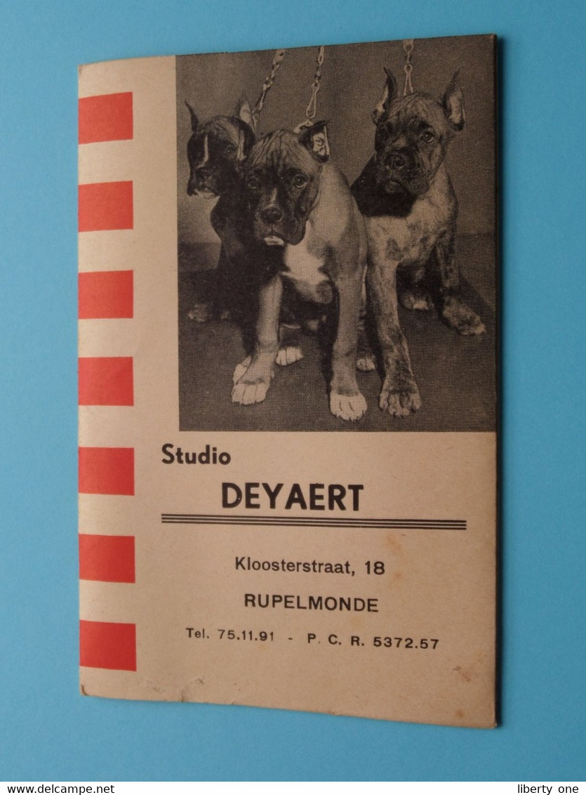 Mapje Studio DEYAERT Kloosterstraat 18 > RUPELMONDE > Anno 1950/60/70 ( Zie / Voir SCAN ) ! - Material Y Accesorios