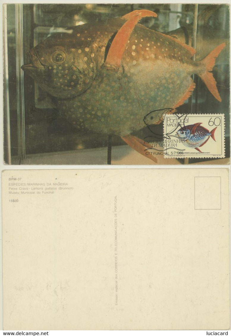 PORTUCAL -ESPECIES MARINHAS DA MADEIRA - Postal Logo & Postmarks