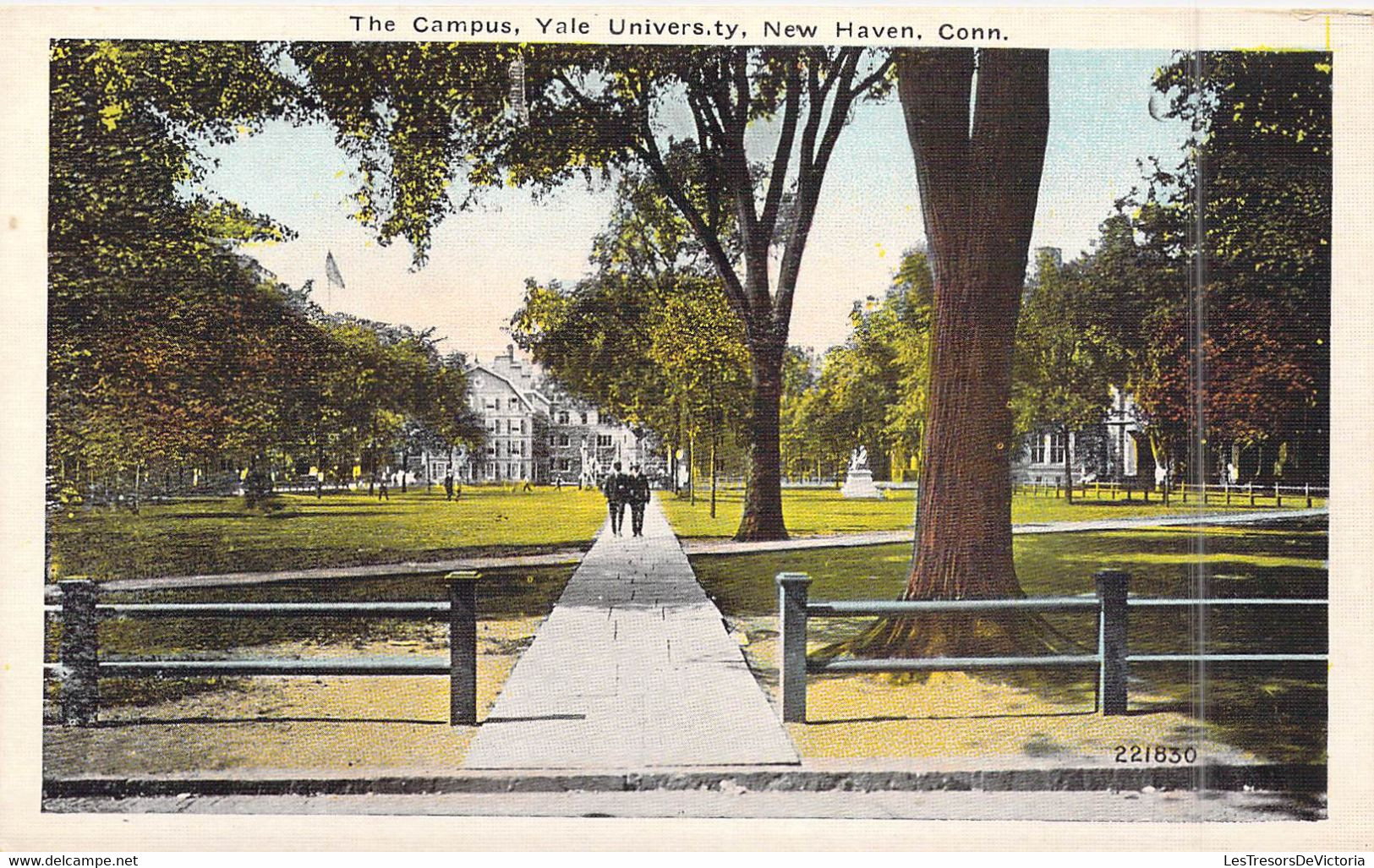 ETATS-UNIS - Connecticut - New Haven - The Campus, Yale University - Carte Postale Ancienne - New Haven