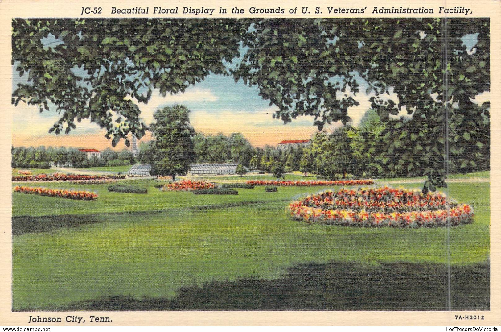ETATS-UNIS - Tennessee - Johnson City - Beautiful Floral Display In The Grounds Of US Veteran's - Carte Postale Ancienne - Johnson City
