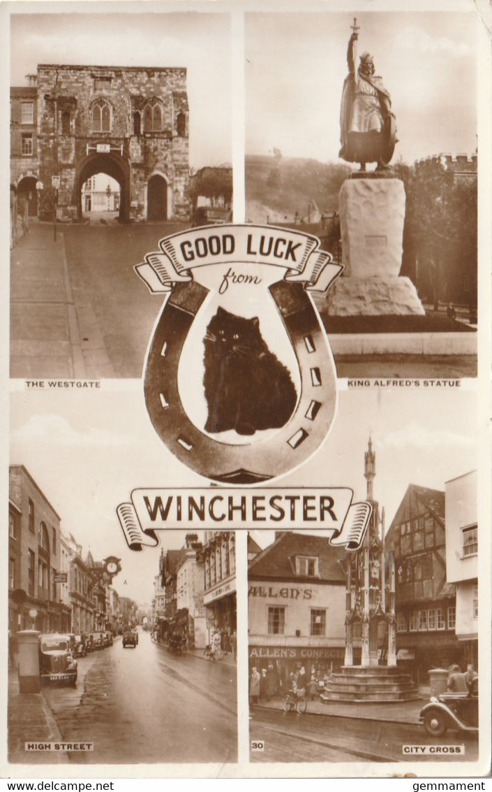 WINCHESTER MULTI VIEW - Winchester