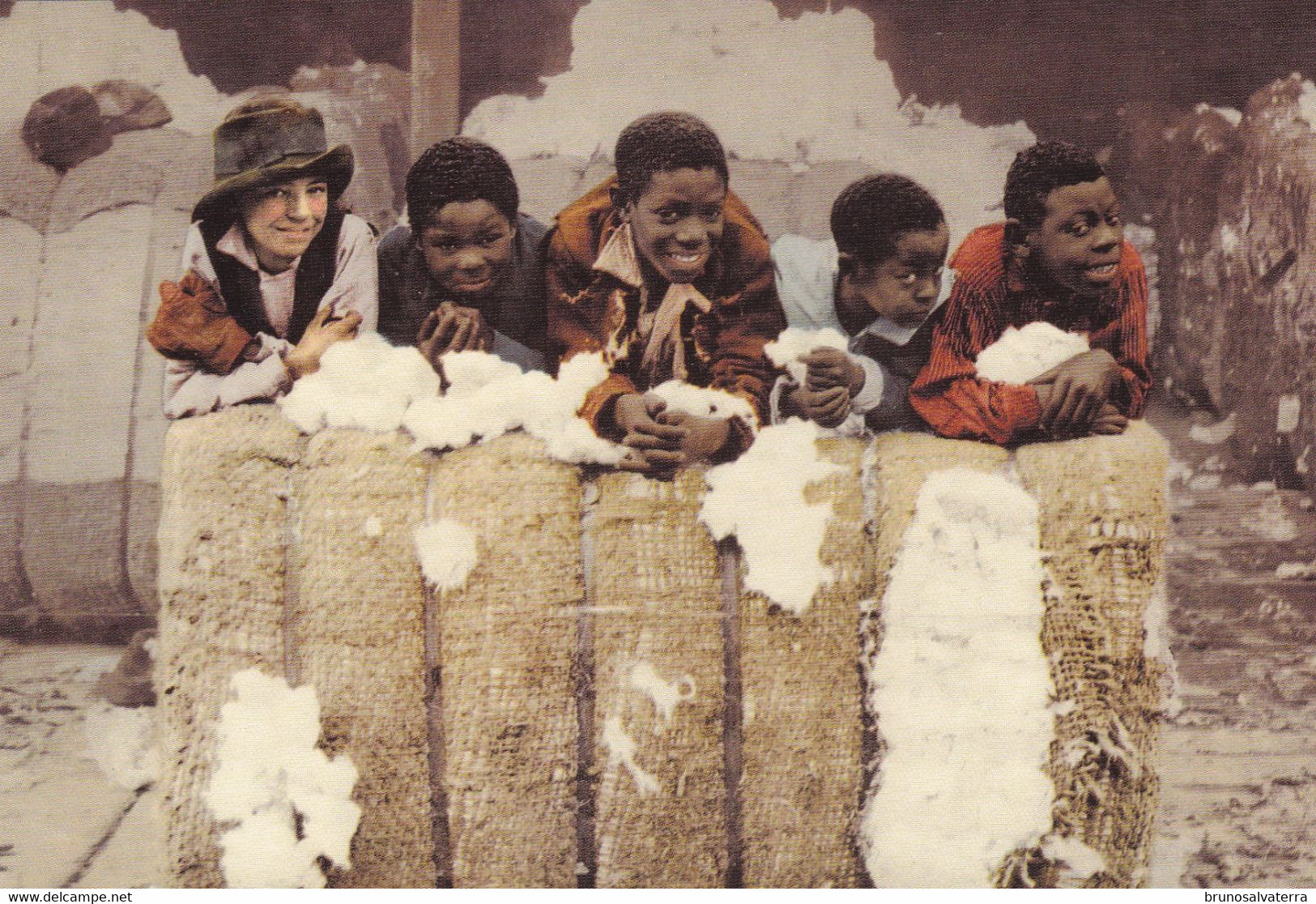 ETATS-UNIS - MISSISSIPPI - Coons In A Cotton Shed - 1905 - Reproduction - Très Bon état - Andere & Zonder Classificatie