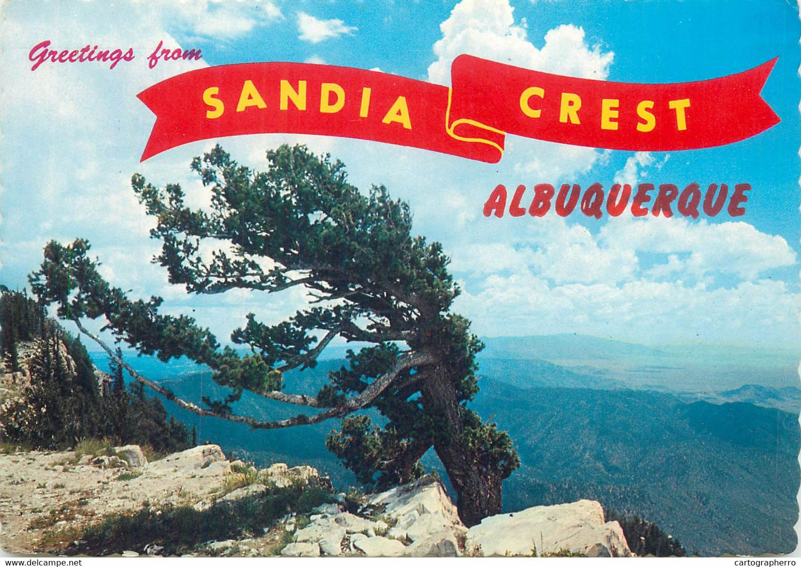 USA Albuquerque NM Greetings From Sandia Crest - Albuquerque
