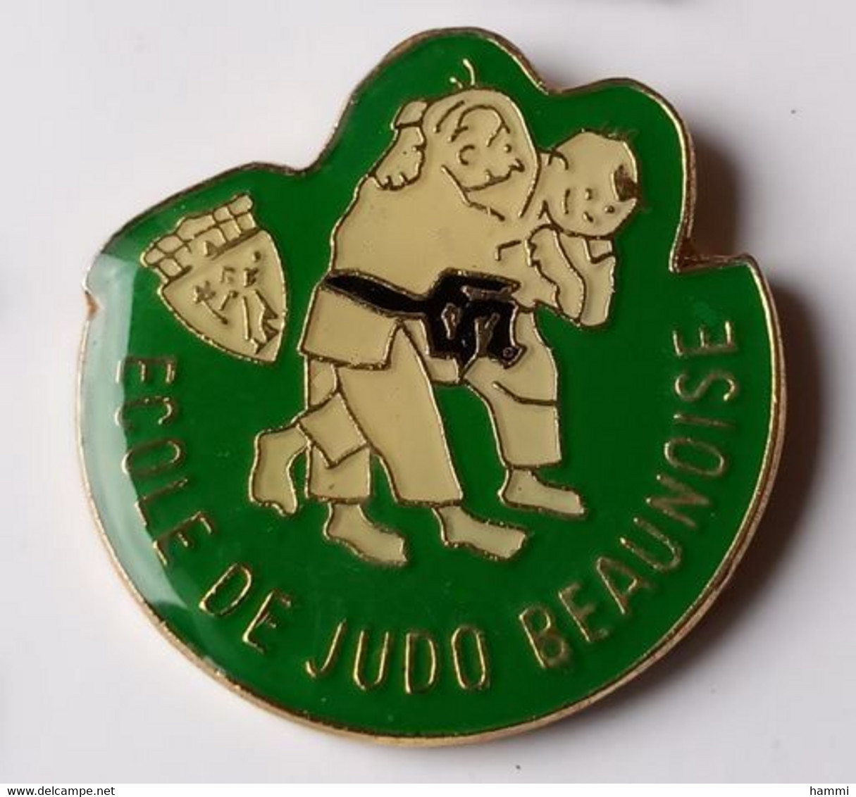 XX294 Pin's école De Judo Beaunoise Côte D'Or Beaune Achat Immédiat - Judo