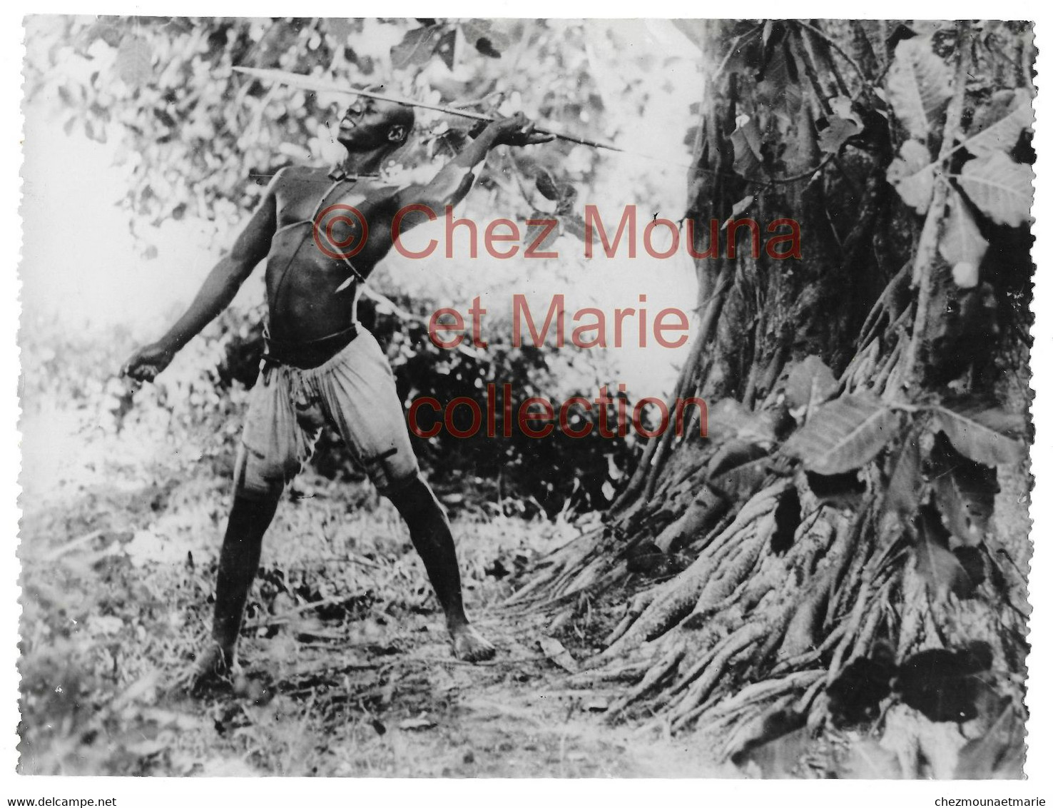 COTE D IVOIRE - INDIGENE ETHNIE HOMME NU CHASSEUR - PHOTO 24*18 CM AFRIQUE - Africa