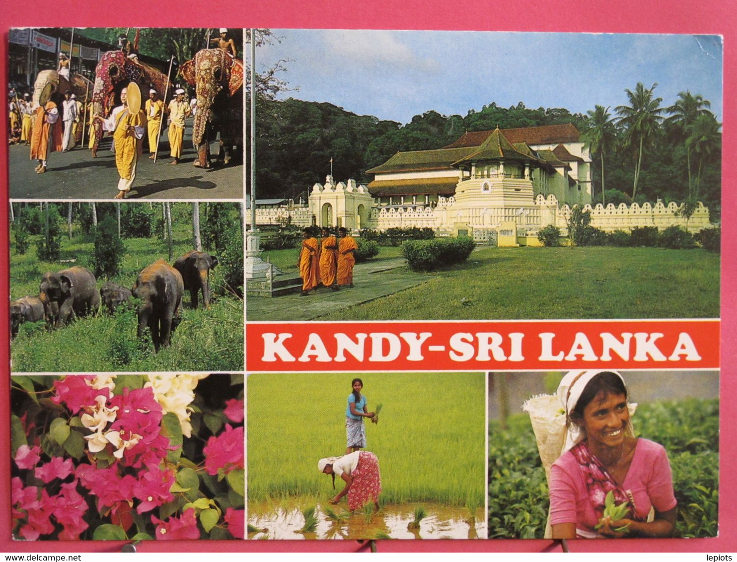 Sri Lanka - Kandy - Sceneries - R/verso - Sri Lanka (Ceylon)