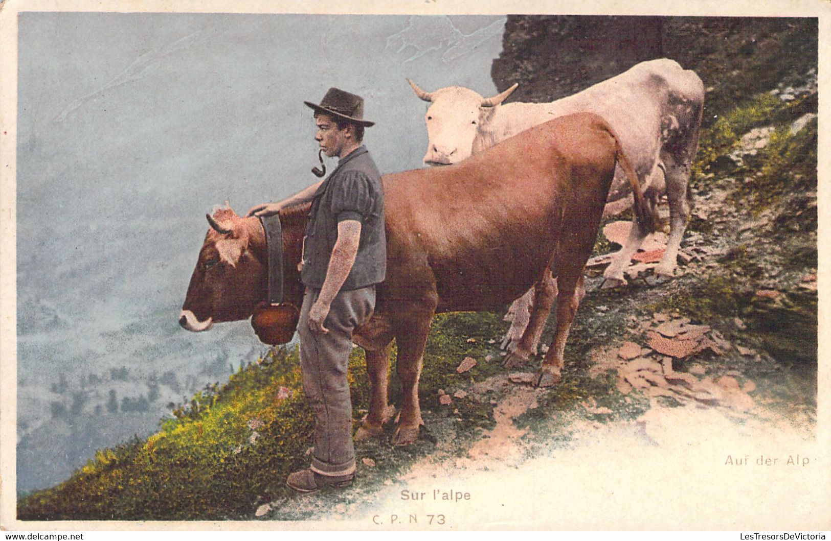 VACHES - Promenade De Vaches Sur L'Alpe  - Carte Postale Ancienne - Koeien