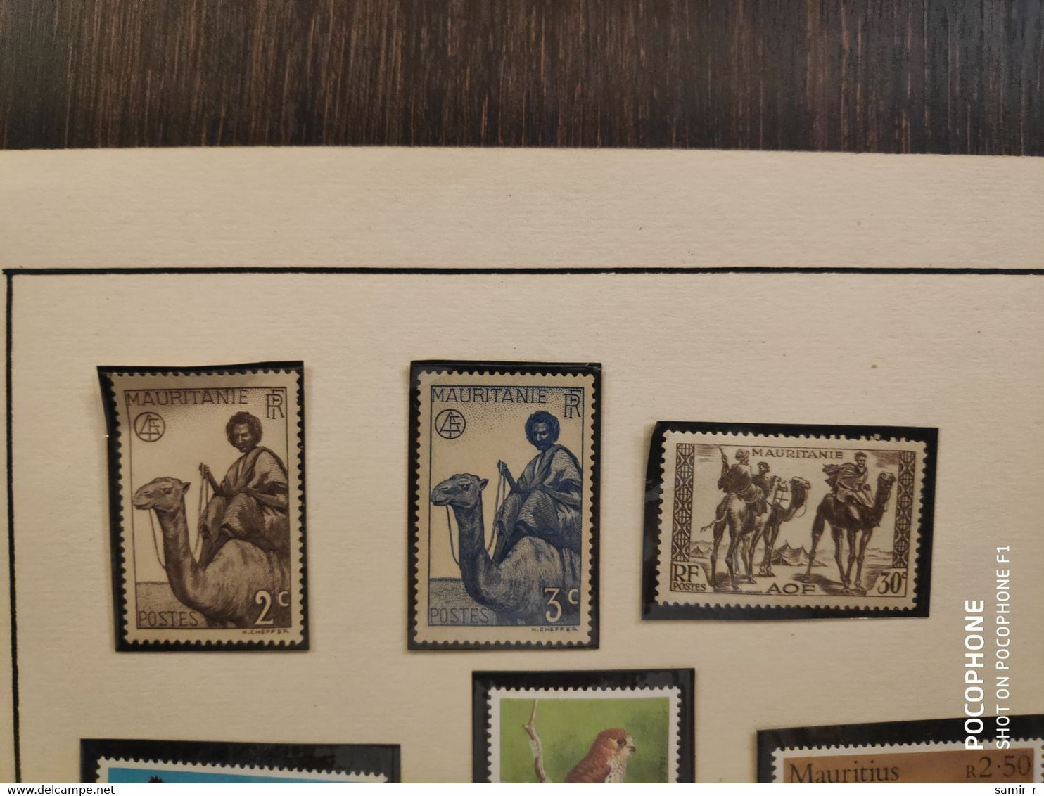 1938 Mauritanie Camels  (AL6) - Mauritanie (1960-...)