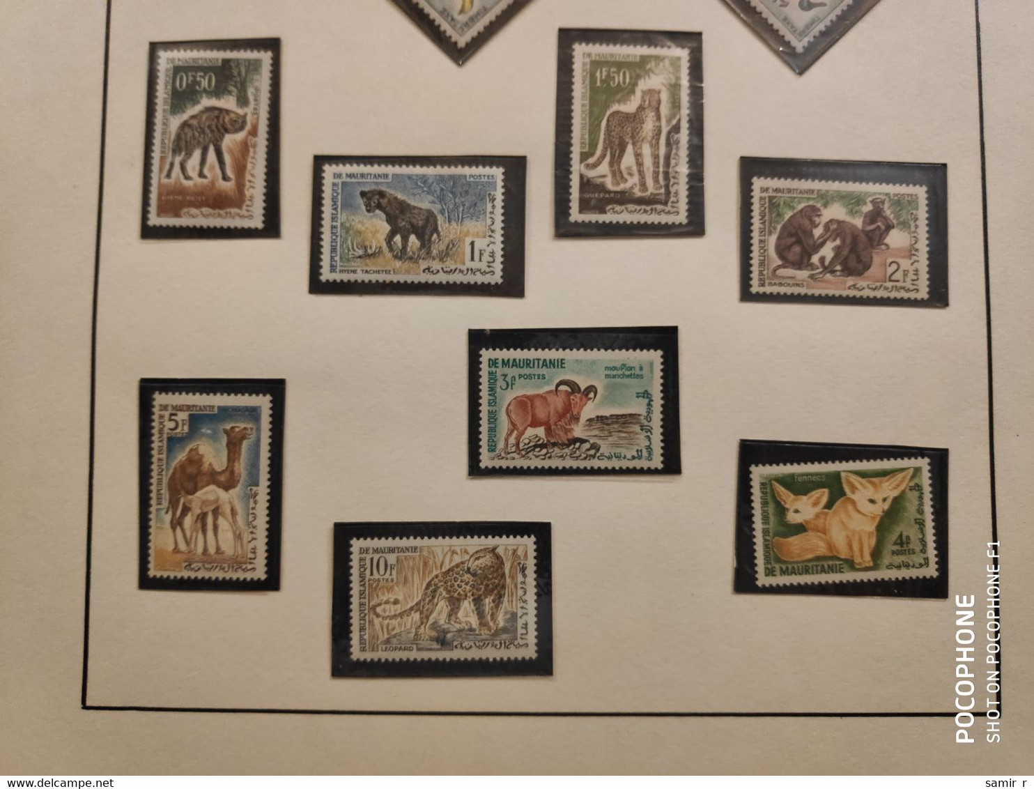 1963 Mauritanie Animals Camel Monkey  (AL6) - Mauritanie (1960-...)