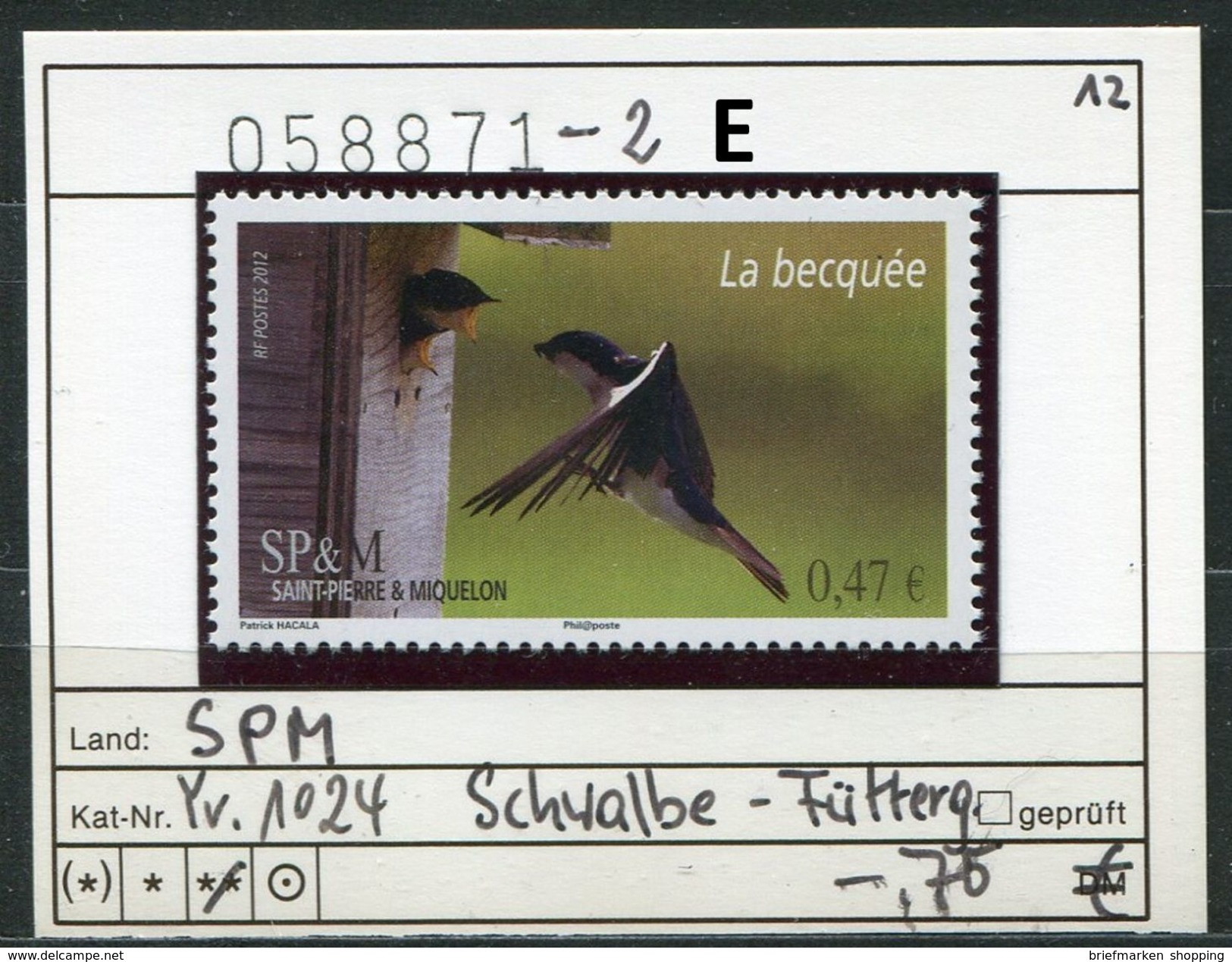 Saint Pierre Et Miquelon 2012 - SPM 2012 - Michel ? Yvert 1024 ** Mnh Neuf Postfris - Schwalbe - La Becquée - Swallows