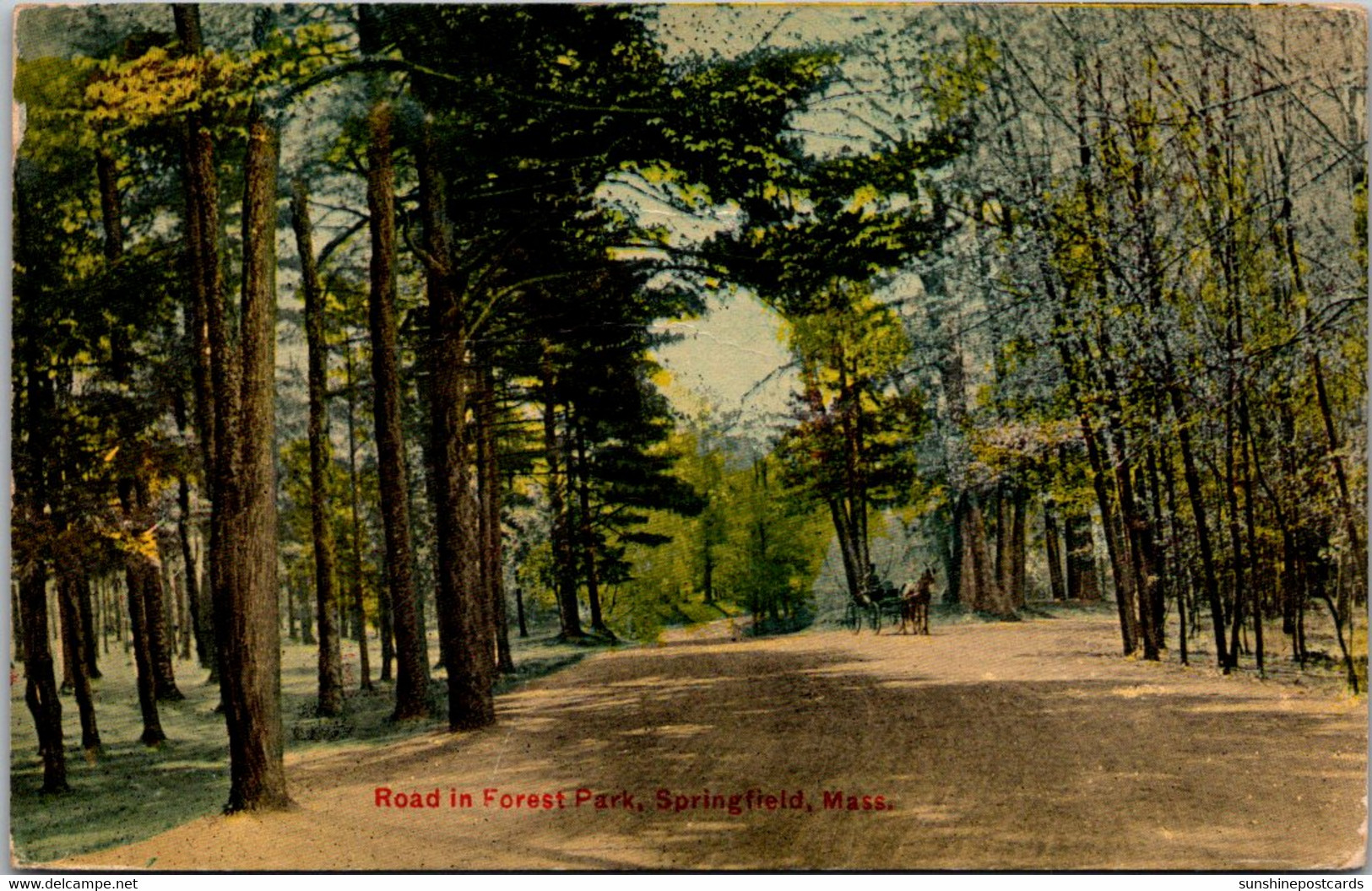 Massachusetts Springfield Road In Forest Park 1911 - Springfield
